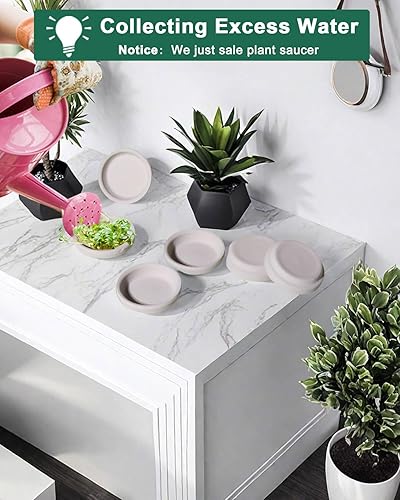 Miniatura 10 de Plato pequeño de terracota de 2 pulgadas, 32 platillos redondos para macetas, bandejas pequeñas de arcilla, perfectas para macetas de flores de 1