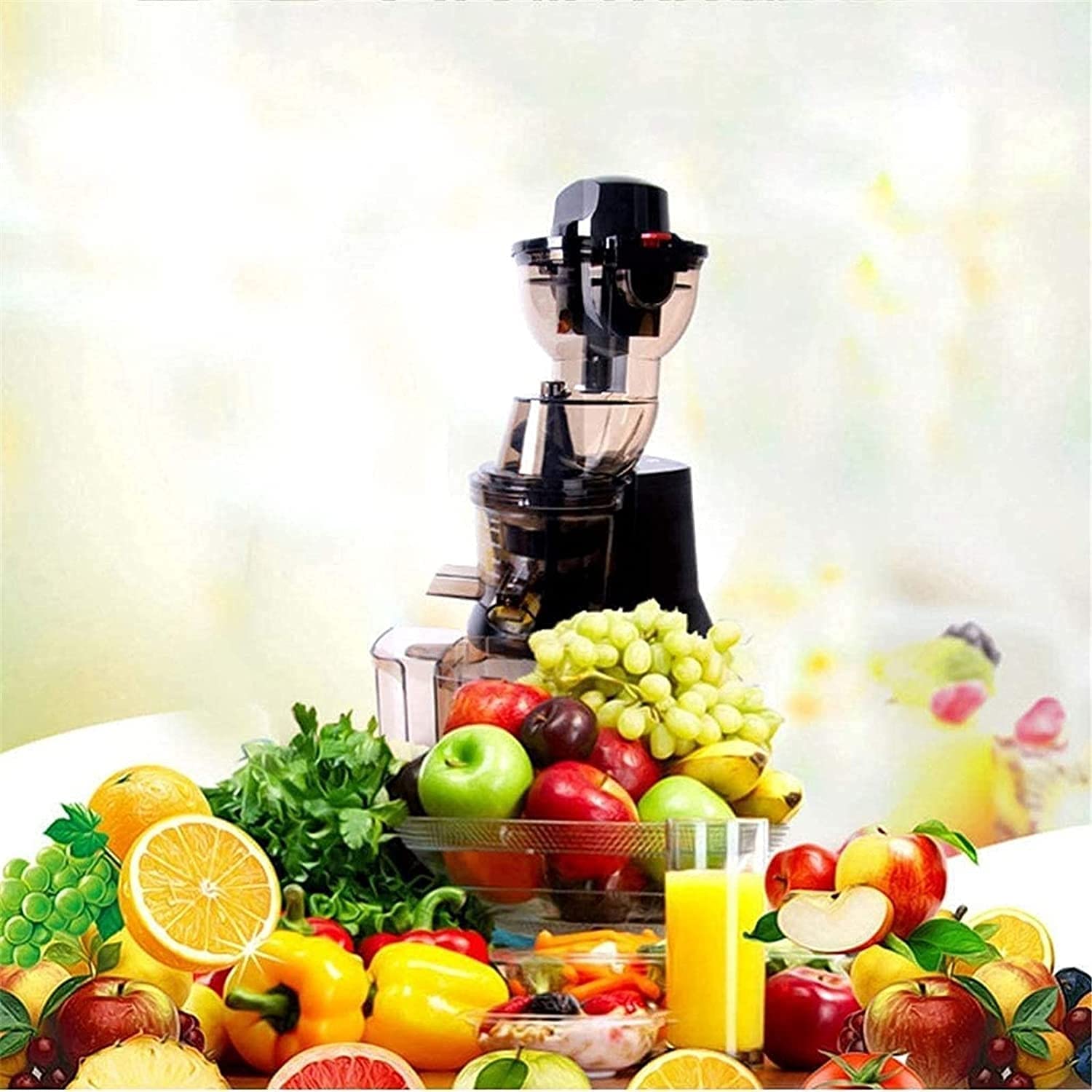 ERoomQ Juicer Juicer, Household Small Stainless Steel Large Caliber Juice Machine Slow Speed Slag Juice Separation Raw Juice