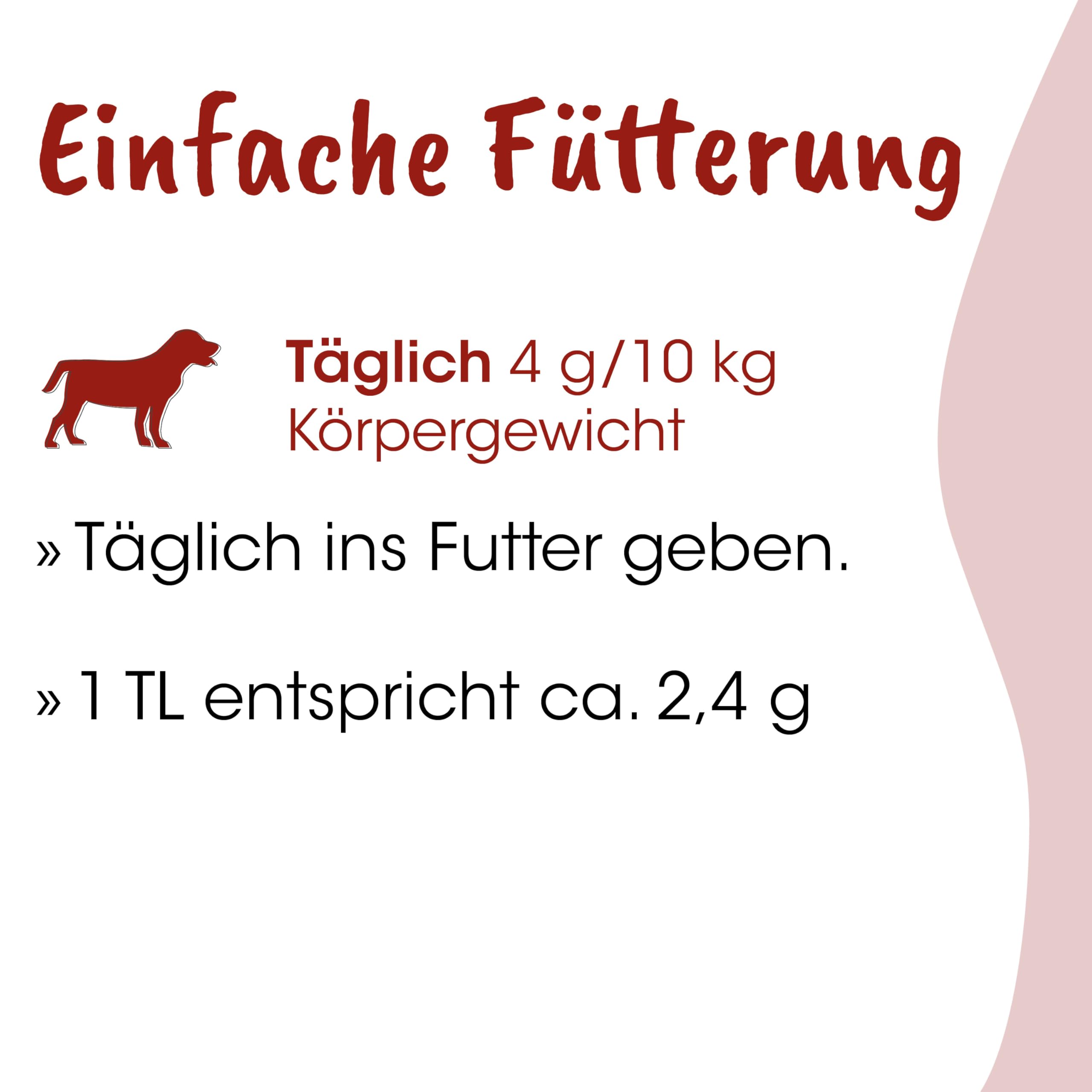 Fit-BARF QuerBeet für Hunde 2,5kg - Ergänzungsfutter Gemüse-Obst-Pulver für gesunde Rohfütterung