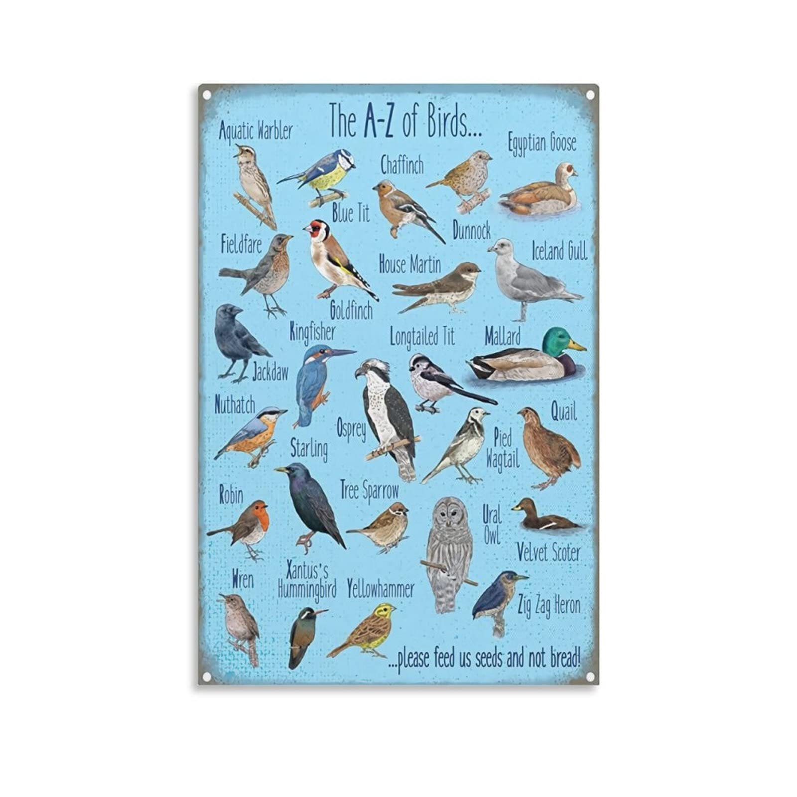 HONG The A-Z Of Birds Retro Tin Sign Metal Sign Vintage Plaque Metal Tin Sign Metal Poster Poster Decorative Painting Canvas Wall Posters And Art Picture Print Modern Family Bedroom Decor Posters 08x