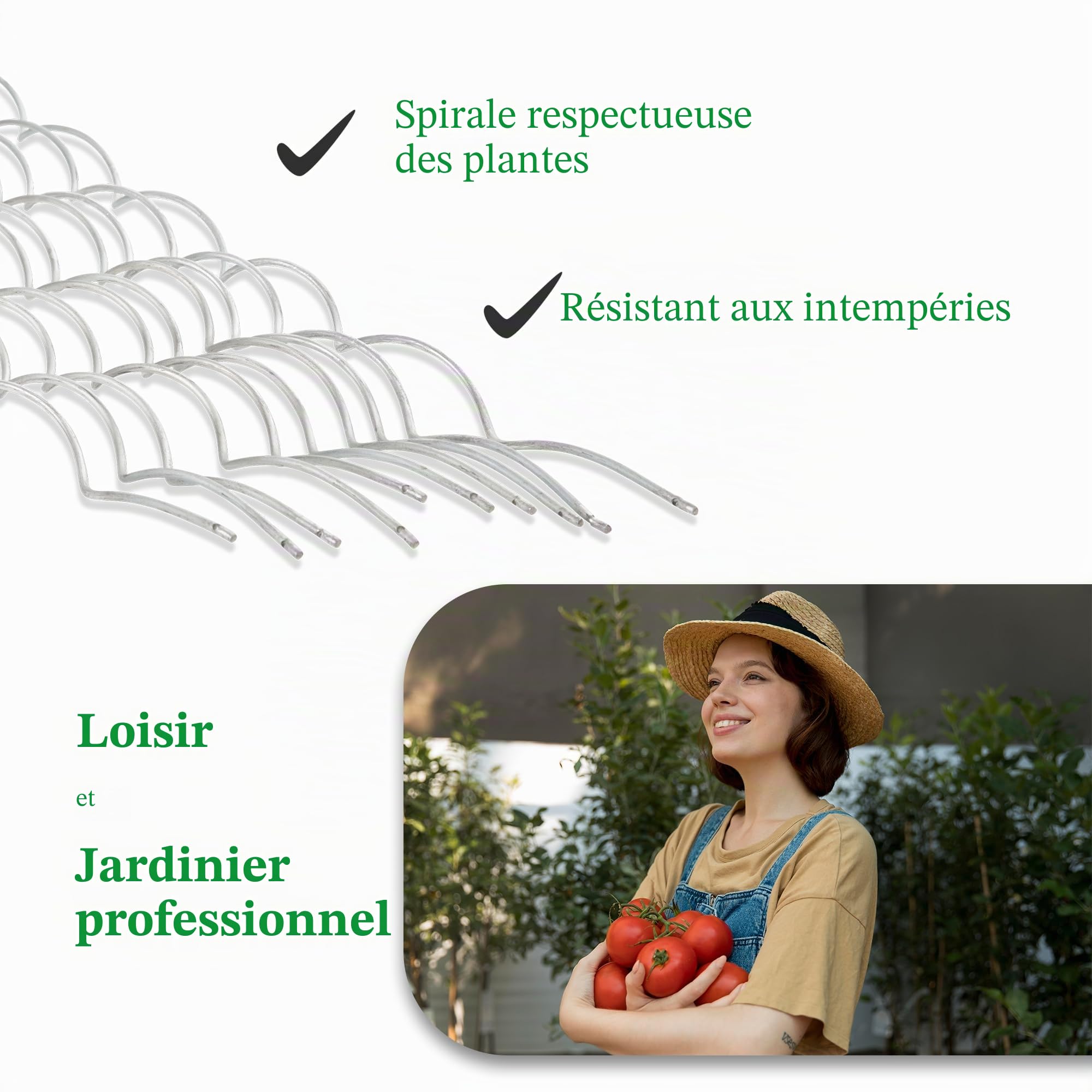 Novatool Lot de 10 tuteurs à tomates en spirale galvanisés - 110 cm x 5 mm de diamètre - 110 cm de diamètre