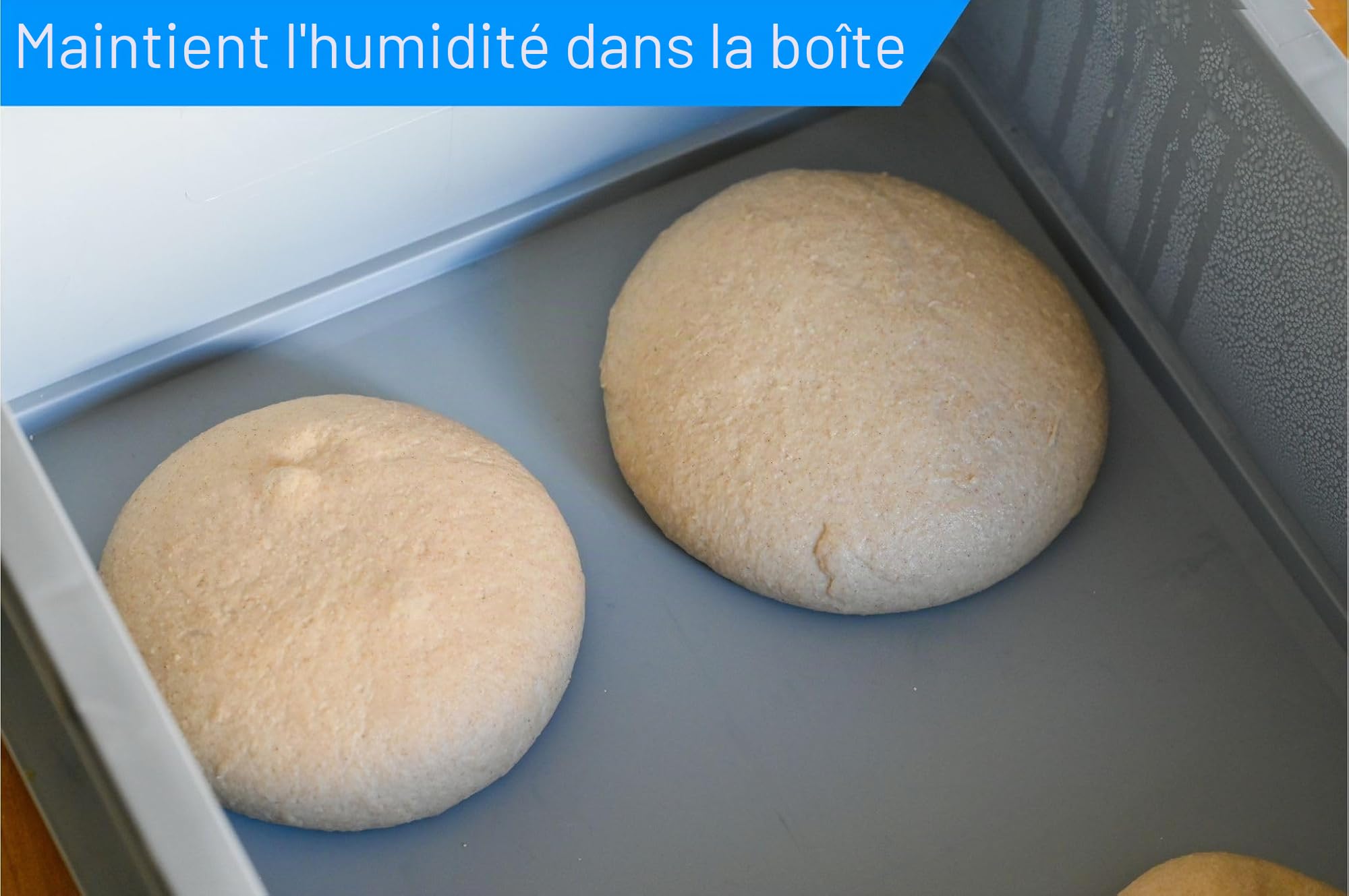 TOMASETTI 2 boîtes à boules à pizza et 1 couvercle – Dimensions de la boîte à pizza : 30 x 40 x 8 cm – Bac à pâte pour pâte à pizza et plus encore – Accessoire pratique pour pizza empilable, boîte de