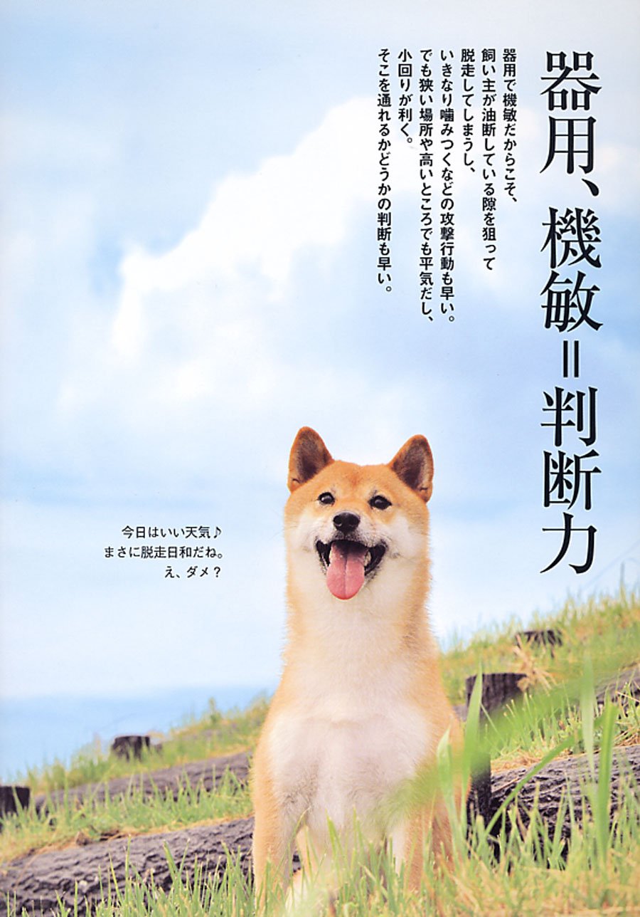 Amazon Co Jp 柴犬警察犬 二葉 久戸瀬 邦子 シーバ編集部 Japanese Books