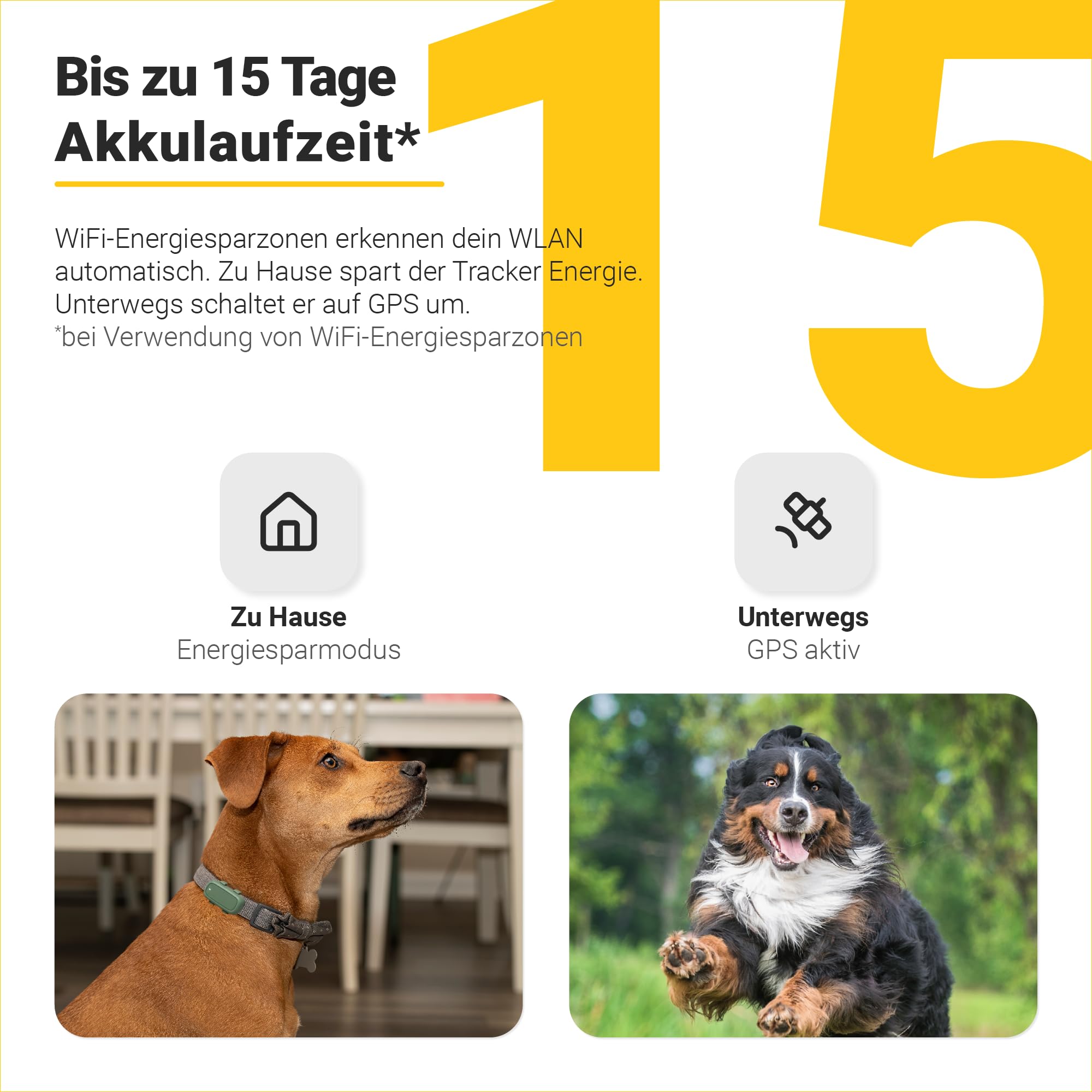 GPS Tracker für Hunde | Bis zu 15 Tage Akku mit WiFi-Energiesparzonen | GPS + WiFi + Bluetooth Ortung | Wasserdicht IP67 | 4G/LTE | Alle Funktionen ab 5€/Monat | 30 Tage Kostenlos