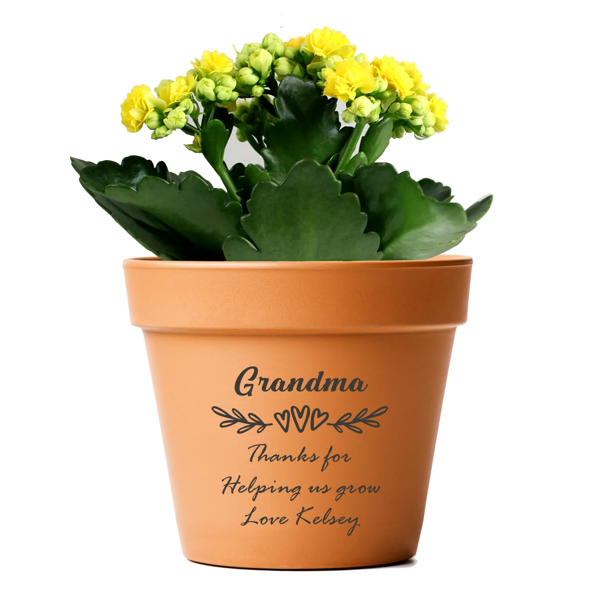 EDSG Personalised Terracotta Plant Pots Clay Flower Plant Pots Planters with Drainage 7 In Hole Succulent Pots Anniversary Birthday Wedding Gifts for Mum Women House Home Garden Decor(Design 1)