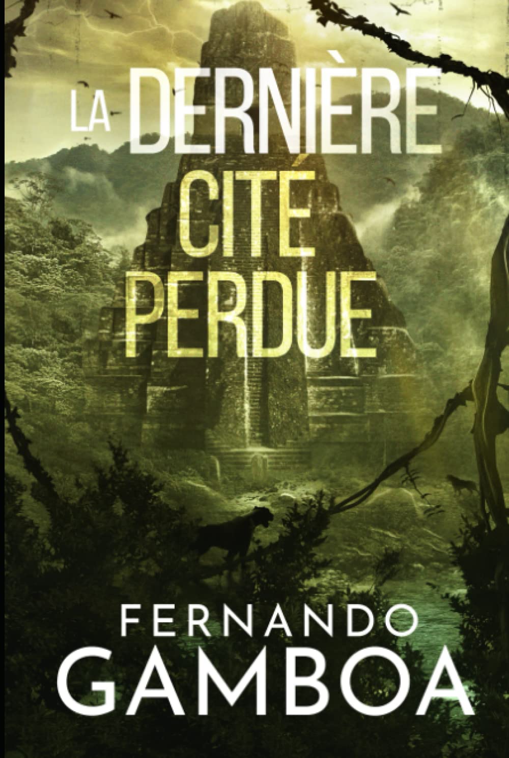 LA DERNIÈRE CITÉ PERDUE (Les aventures d'Ulysse Vidal)