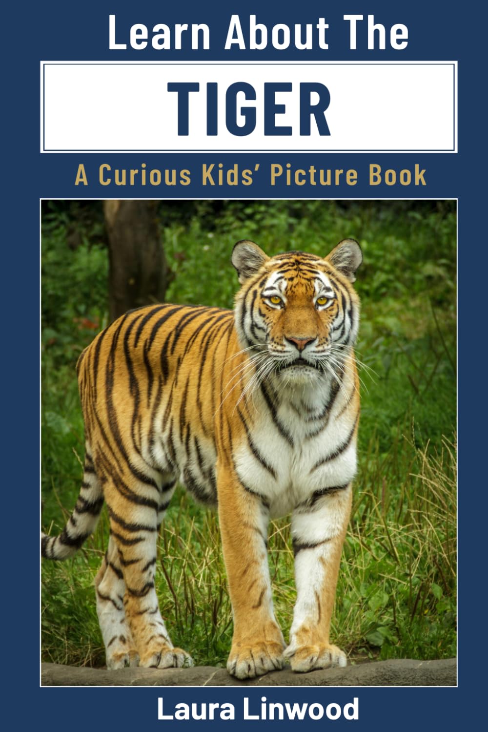 Learn About The Tiger: A Curious Kids' Picture Book (Curious Kids Learn About Books)