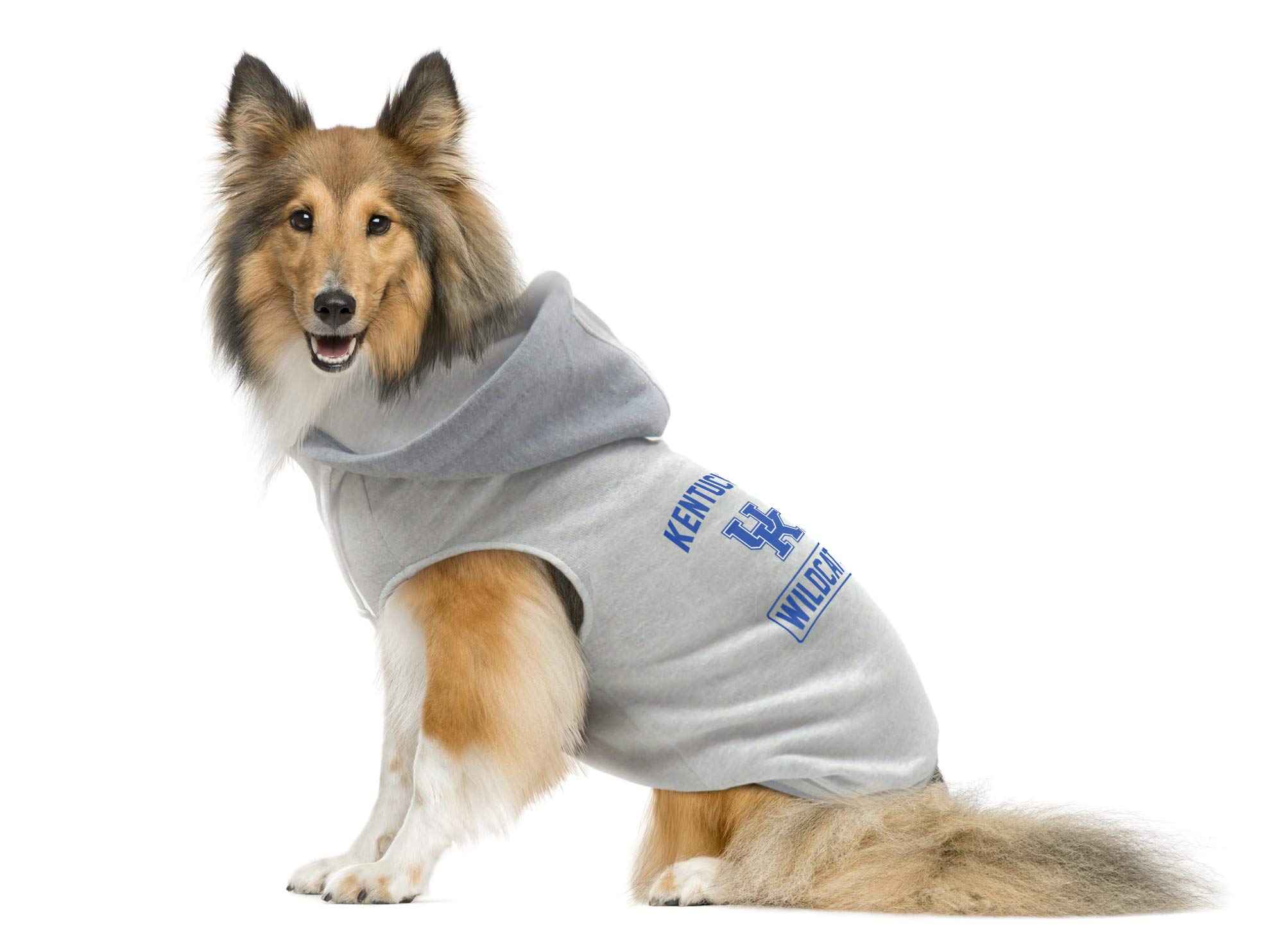 Sudadera Kentucky Wildcats extra pequeña que soluciona el frío en las gradas del estadio