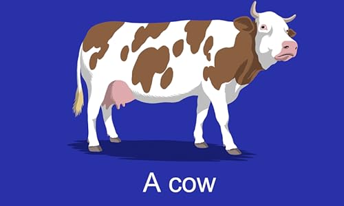 Farm Animals