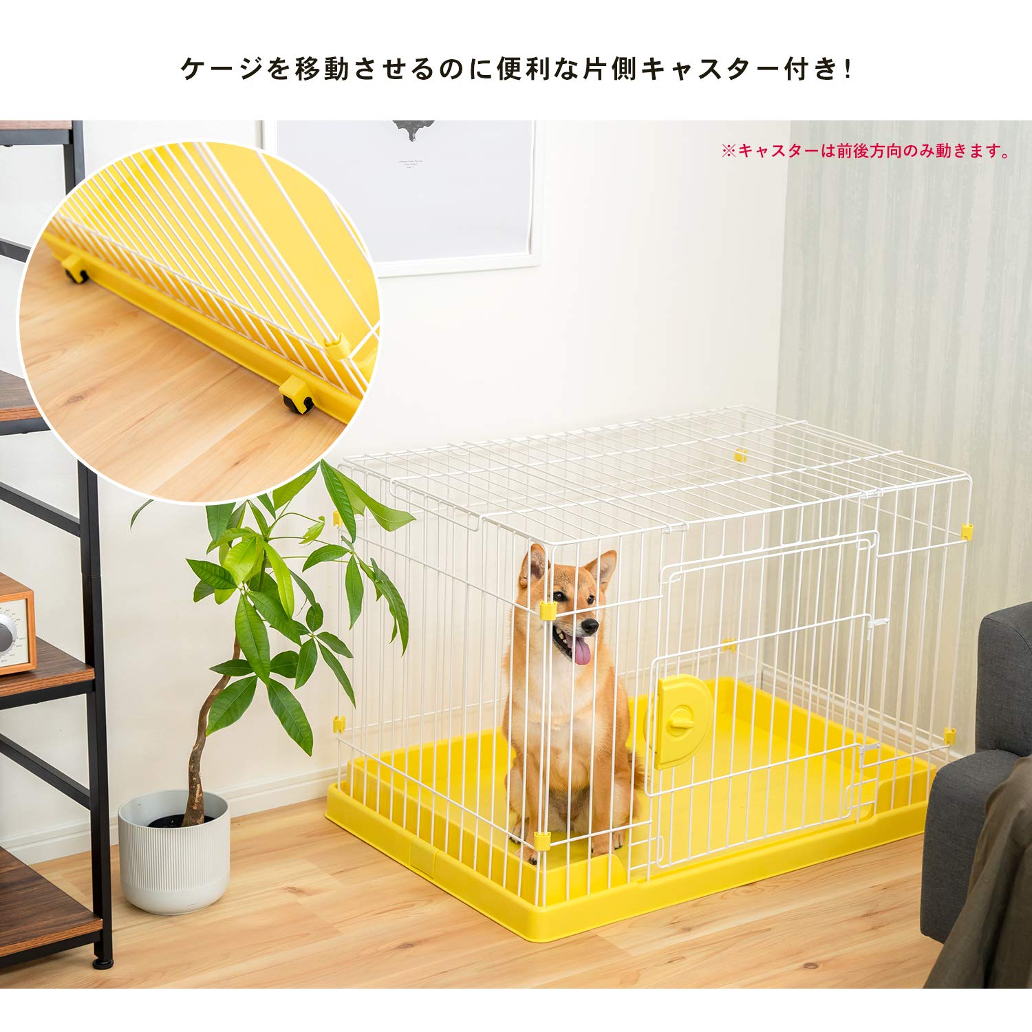 Amazon | コーナン オリジナル ハニーイエローゲージ 天井ネット付