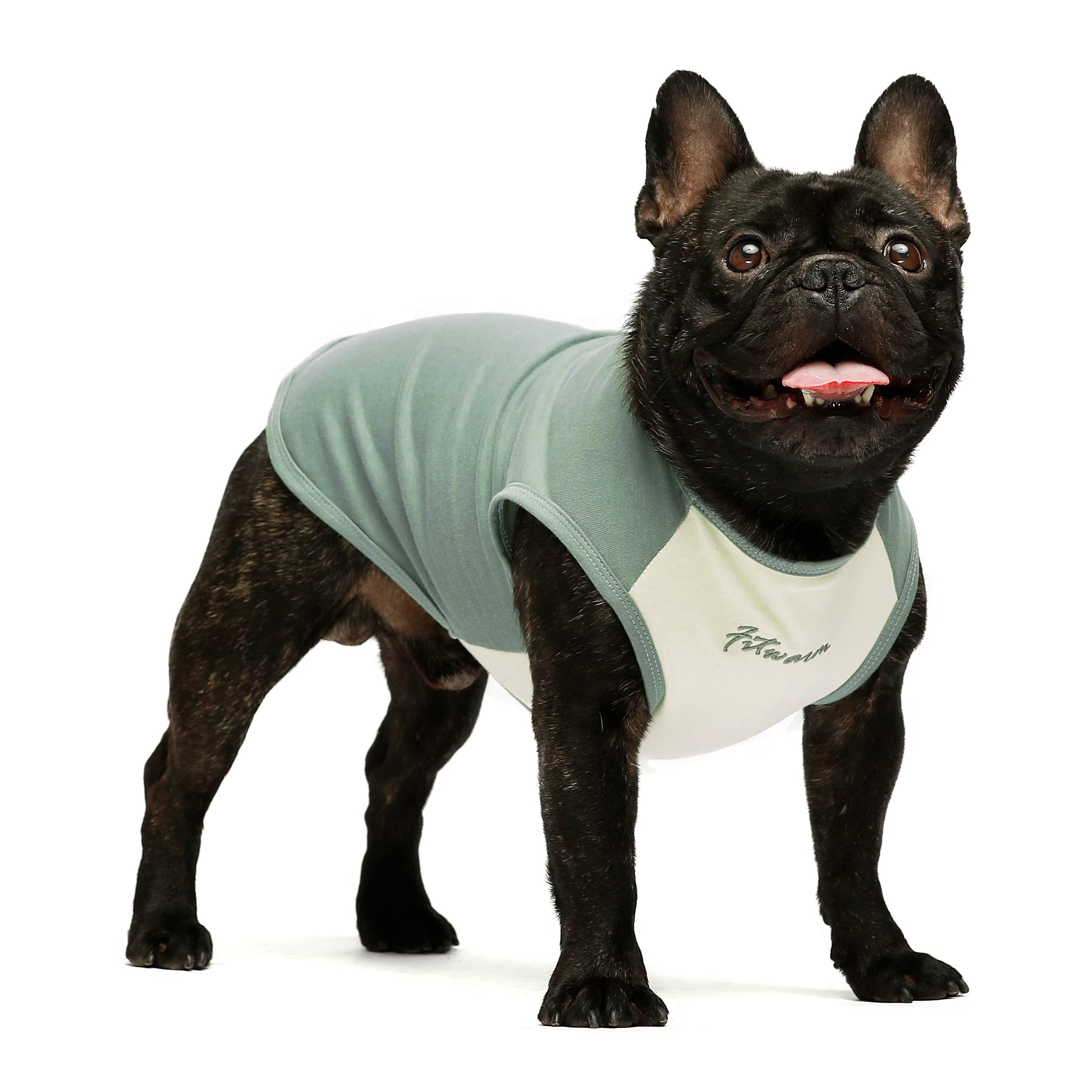 Fitwarm 100％綿 犬服 シャツ 部屋着 お出かけ 伸縮性 ドッグ M Fitwarm 100％綿 犬服 シャツ 部屋着 お出かけ 伸縮性 ドッグ M