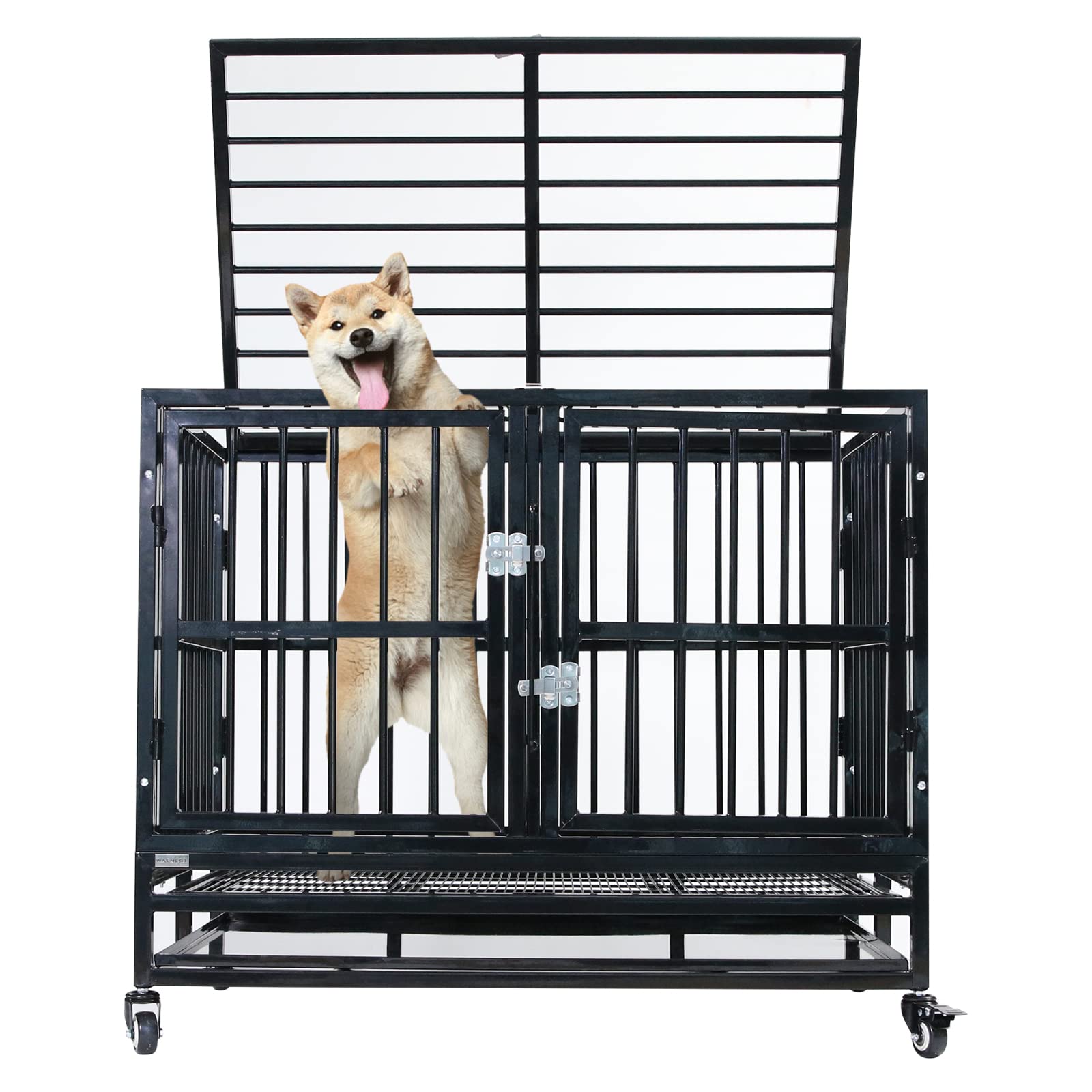 Is It Ok To Crate Two Puppies Together