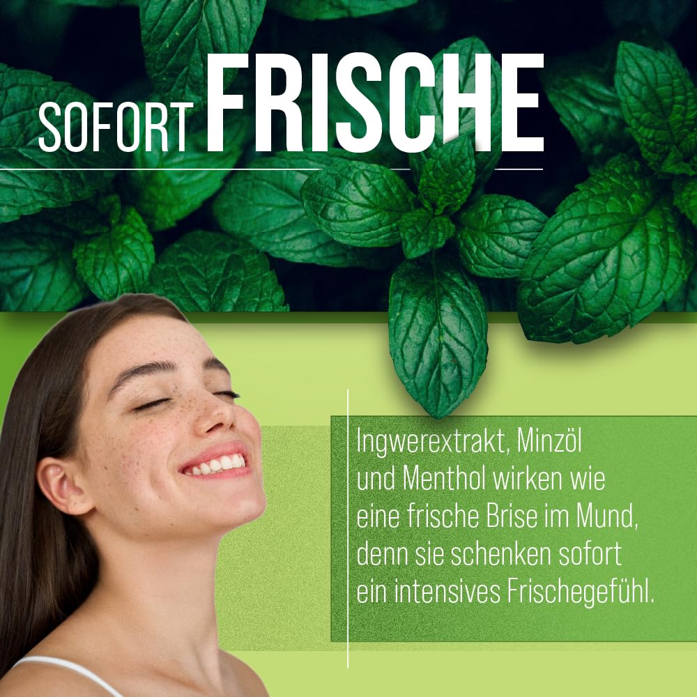 Sanct Bernhard Atemfrisch Deo-Kapseln mit Pfefferminzöl, Menthol & Chlorophyll - 170 Kapseln