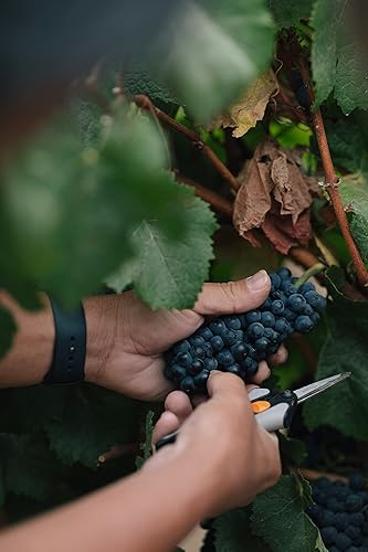 Miniatura 8 de Criterion Barolo, 25.4 fl oz