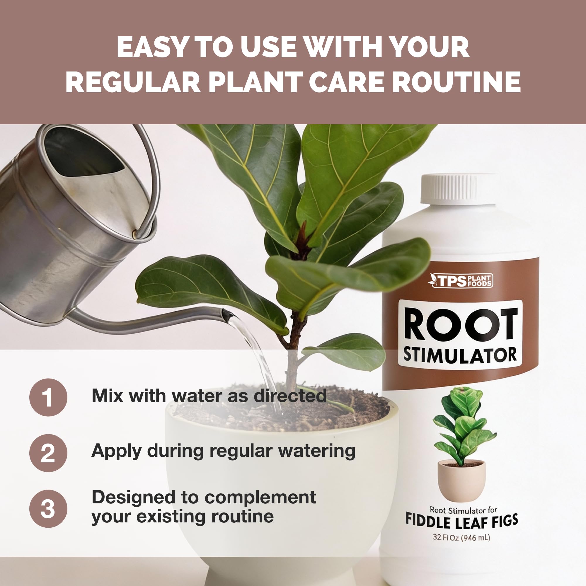 Amazon.com : Root Stimulator for Fiddle Leaf Fig  Liquid Root Supplement  with Kelp & Probiotics for Stronger Roots & Better Leaf Growth, 8 oz :  Patio, Lawn & Garden