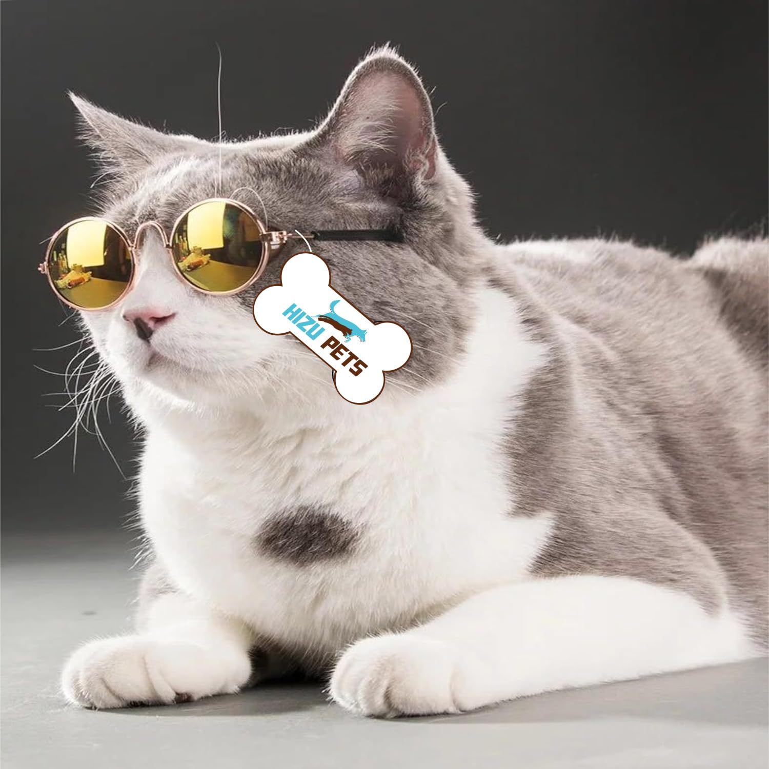 HIZU PETSCat Glasses Goggles Sunglasses Pet Cat Glasses Classic Retro Circular Stylish Goggles Sunglasses UV Protection for Cats Small Puppies (Colour May Vary) Pack of 1 (B0CKXVL24D) Amazon Price History, Amazon Price Tracker