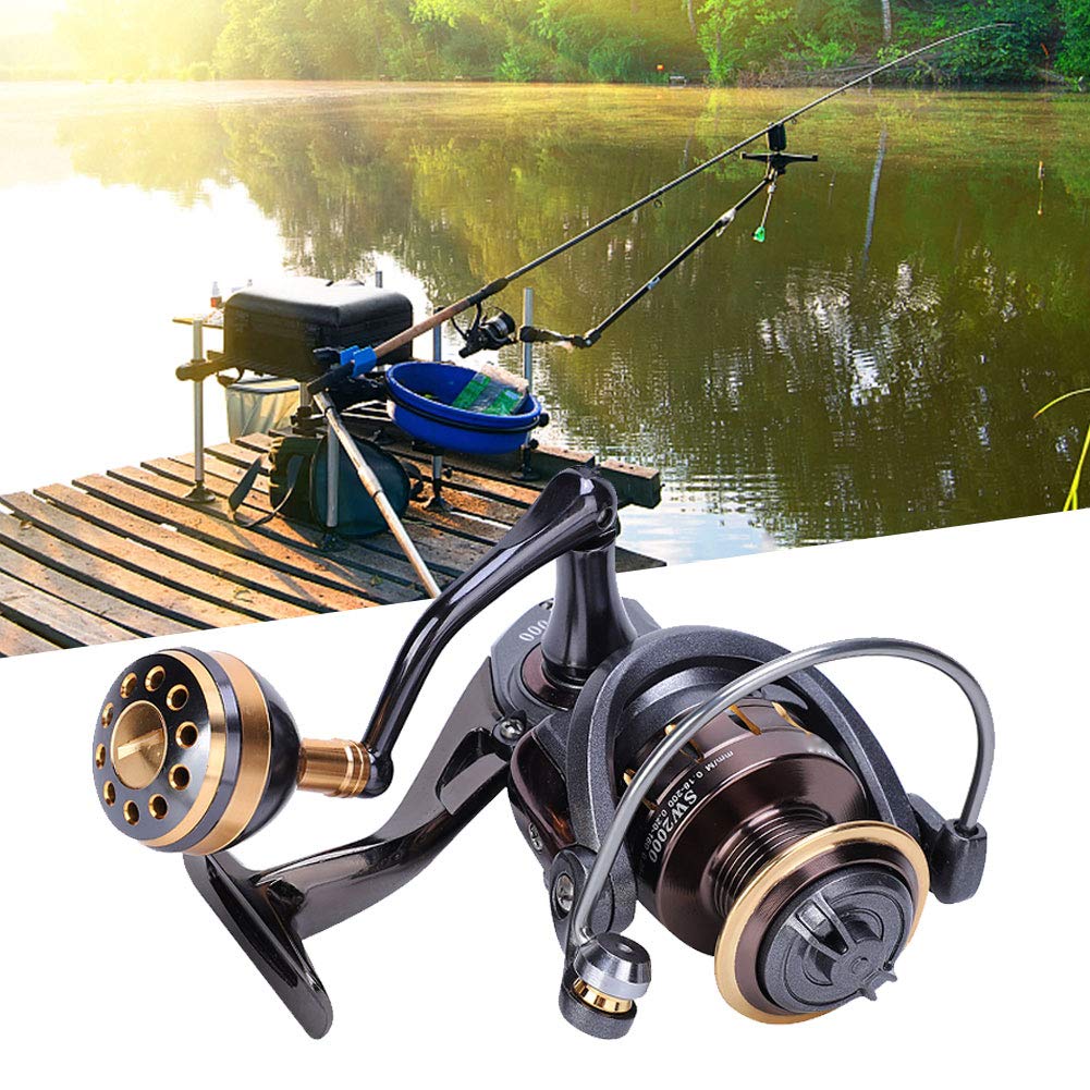 SW Series Sea Fishing Reel Cast Far, Metal Wheel with Easy Casting and Strong Main Shaft, Suitable for River, Lake, Reservoir (SW2000) : Electronics