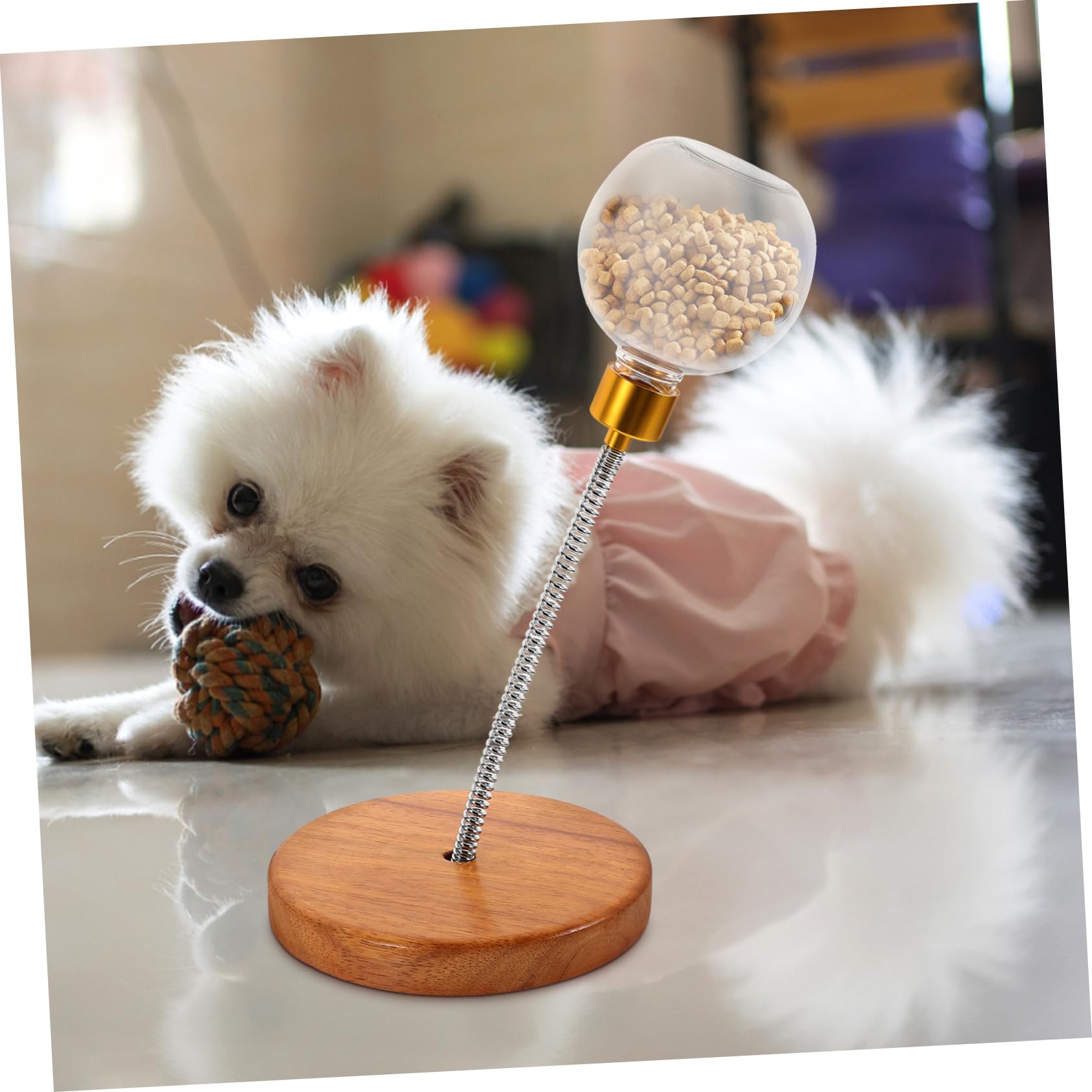 BESPORTBLE Jouet Multi-usages pour Chien - Balançoire avec Distributeur De Nourriture - Friandises Interactives pour La Santé De Lanimal