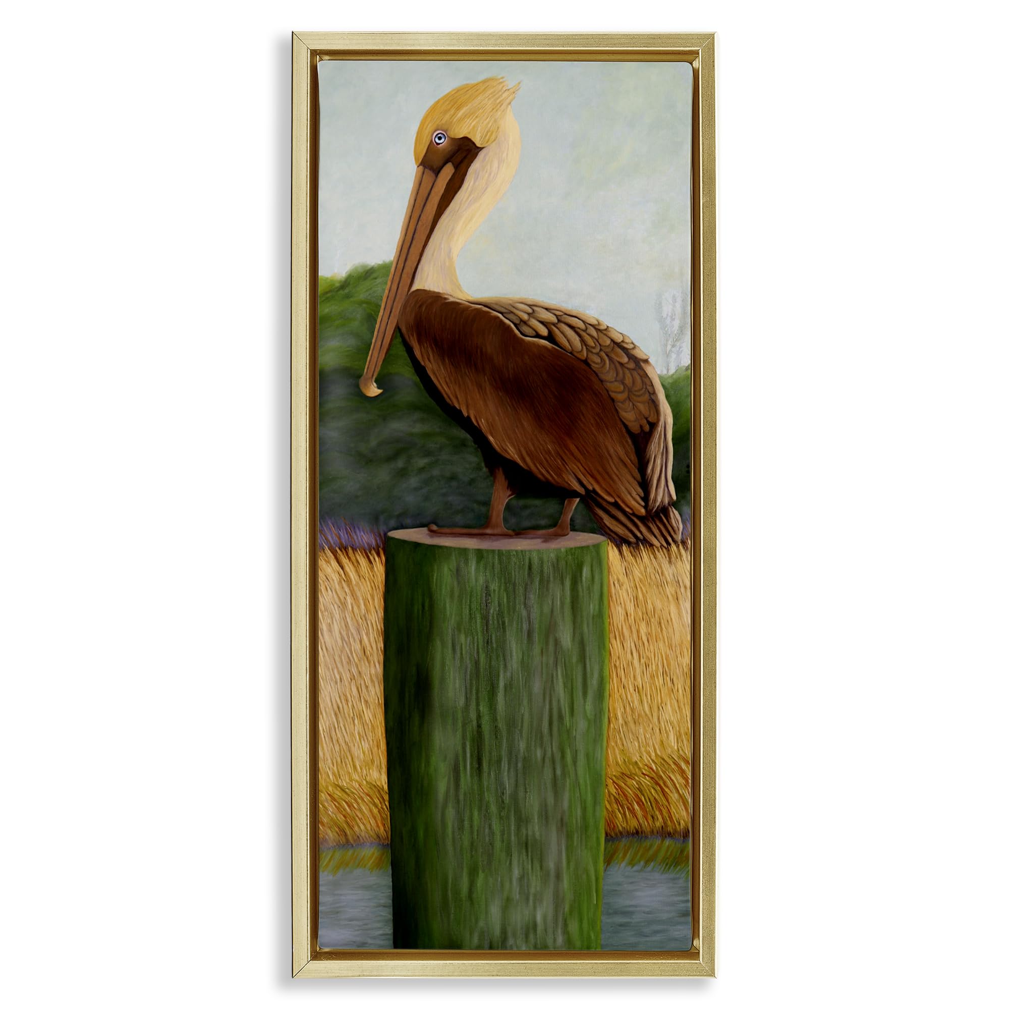 Stupell Industries 'Blue Eyed Pelican', Floating Frame Canvas Art, Gold, 15 x 31 Inches, Easy to Hang and Sturdy, Made in USA, by Barbara Fallenbaum