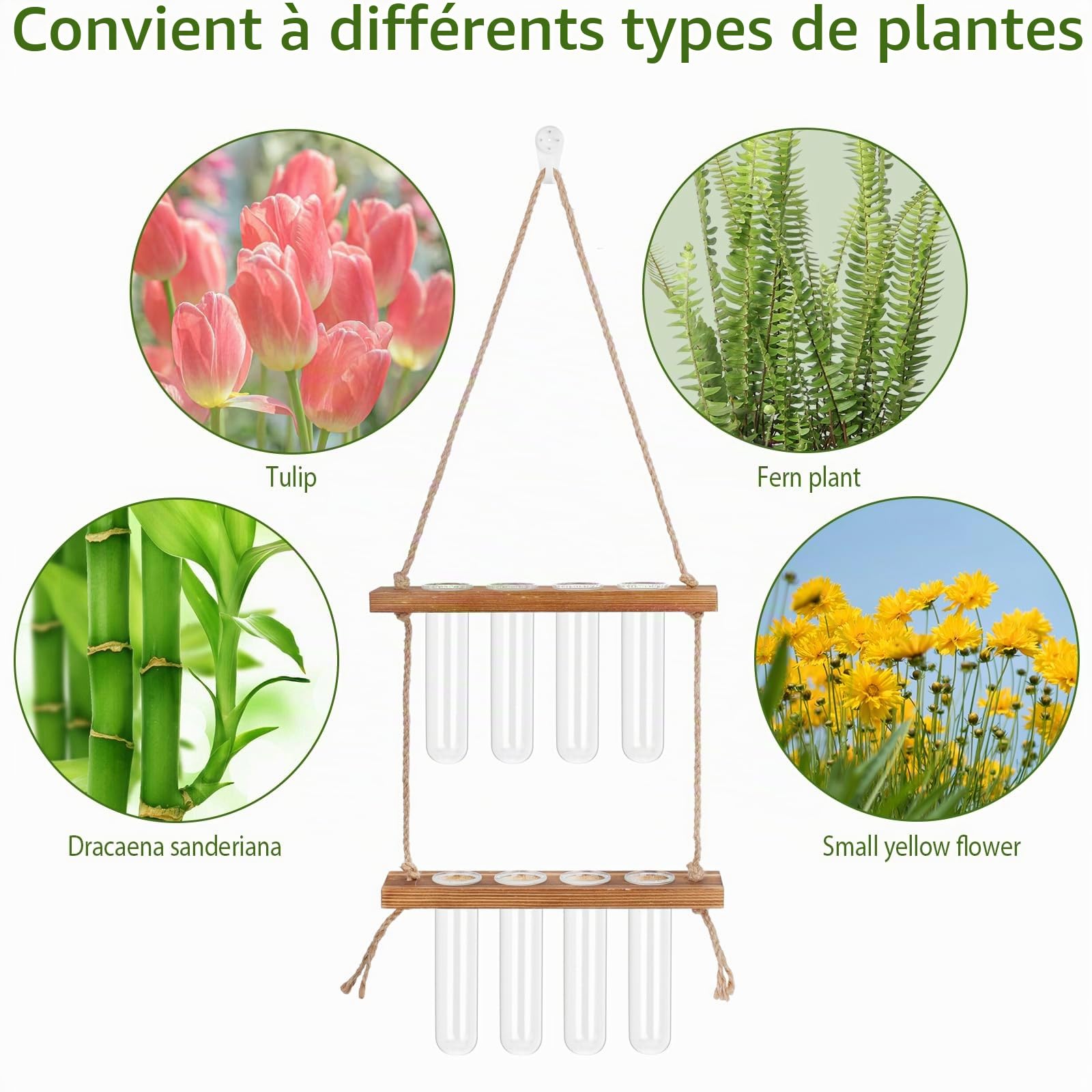 Vase Mural en Verre 2 Étage, 8PCS Vase Tube à Essai, Pot de Fleur avec Support en Bois, 42x20cm
