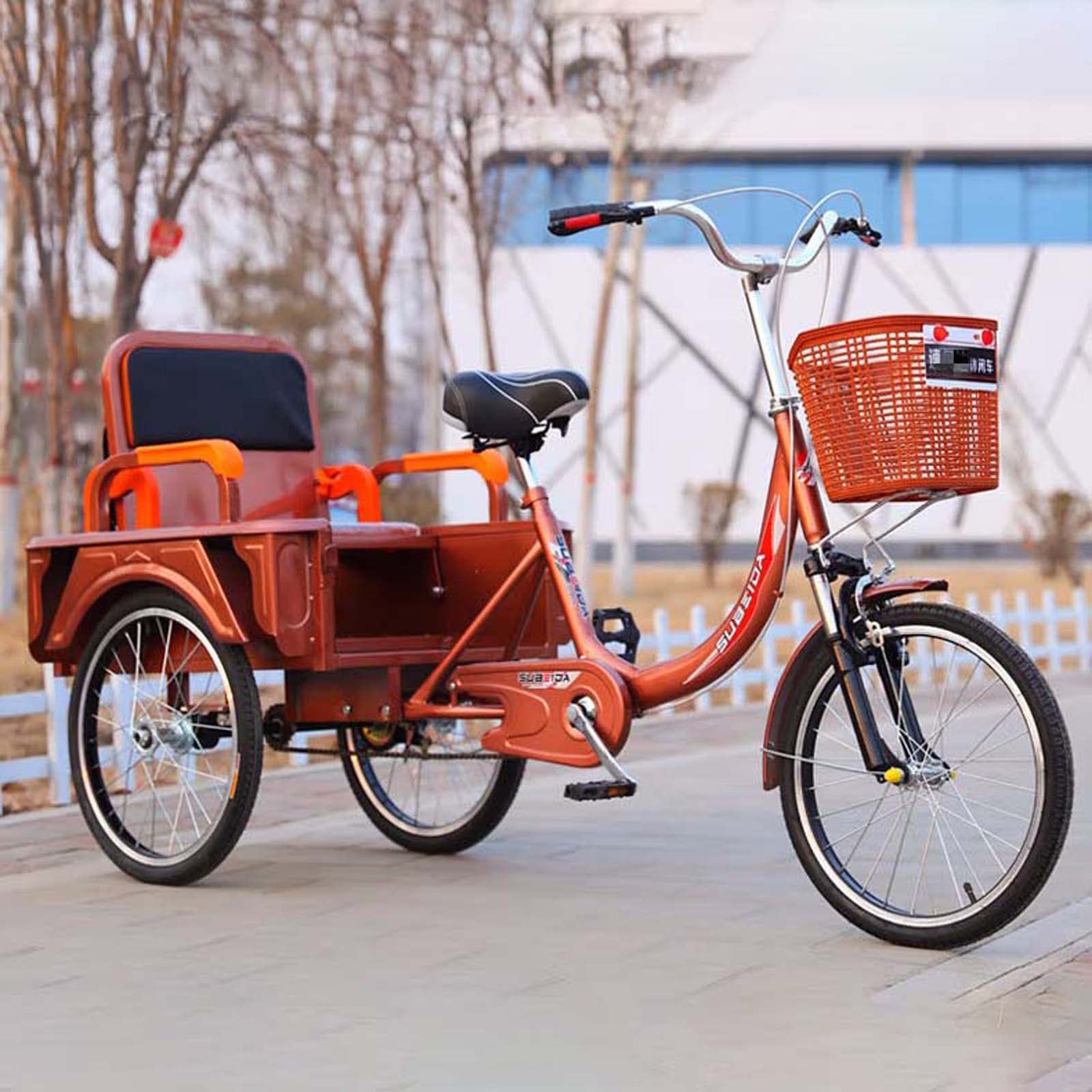 Adult Tricycle