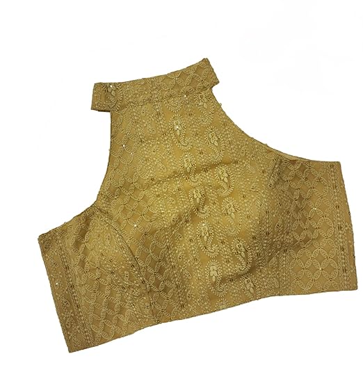 Women's Lakhnavi Style Heavy Schiffli Work Embroidery Blouse with Halter Neck