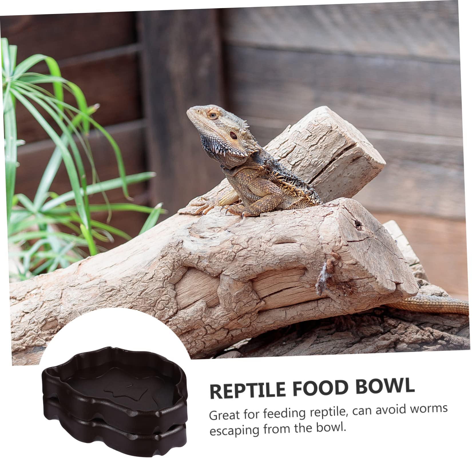 Cuenco de agua para reptiles Cuenco for alimentación de reptiles, 6 piezas Cuenco for reptiles Cuenco for mascotas Cuenco for alimentación de reptiles Plato for beber for reptiles Comedero de resina f
