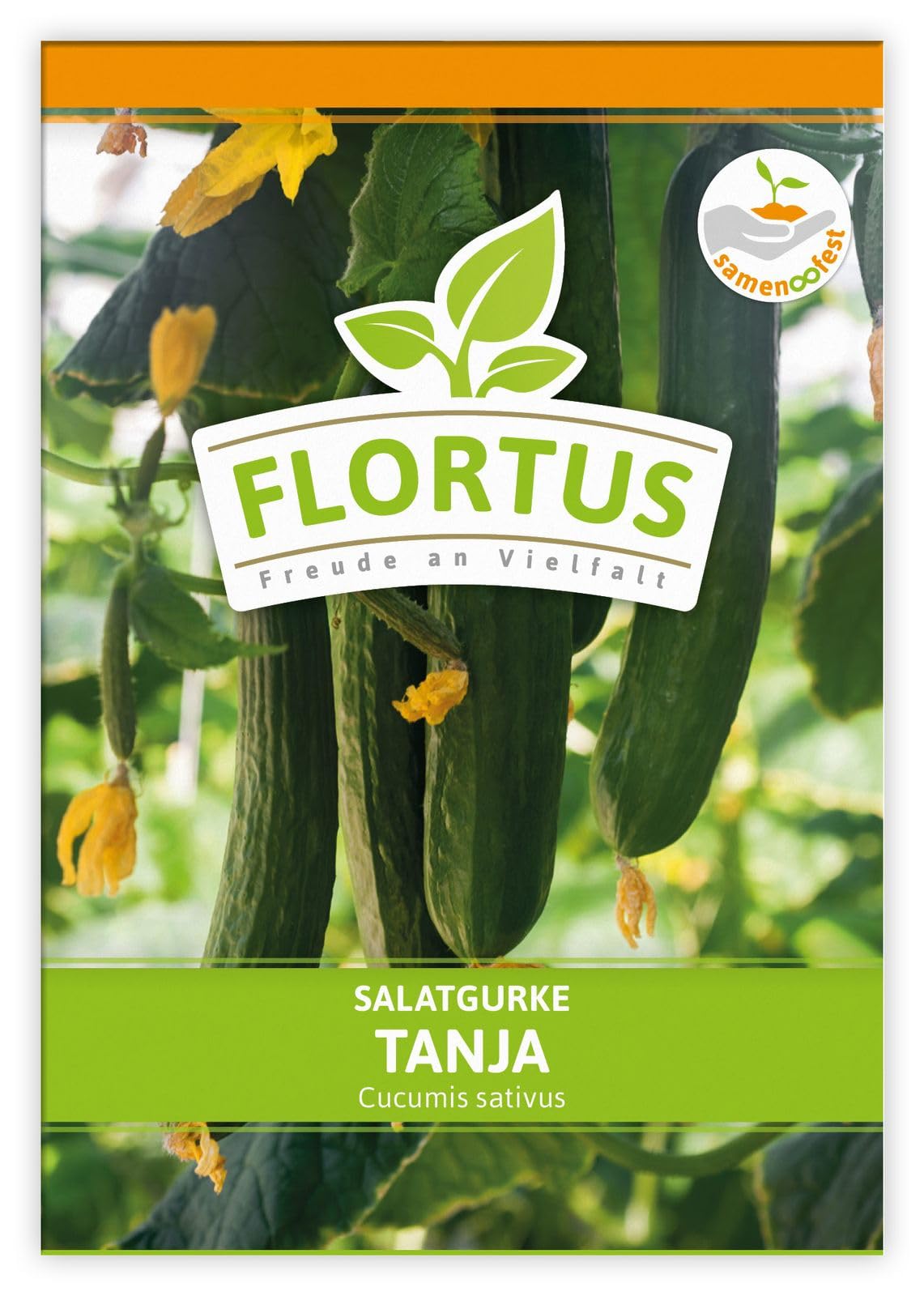 FLORTUS 2000-0479-100x Salatgurke Tanja (100 Stück) (Salatgurkensamen)