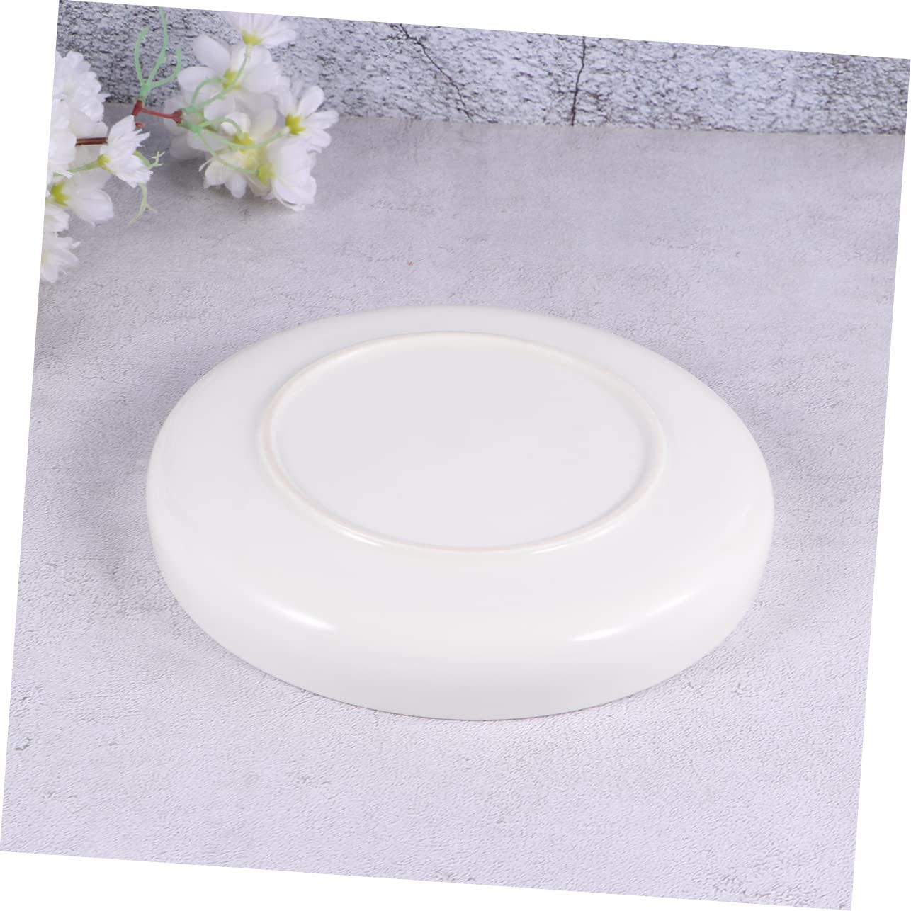 Milisten Ciotola per Rettili in Ceramica Bianca Leggera e Affidabile, Vaso Basso Adatto per Lucertole e Rane, per Mangiatoia per Tartarughe
