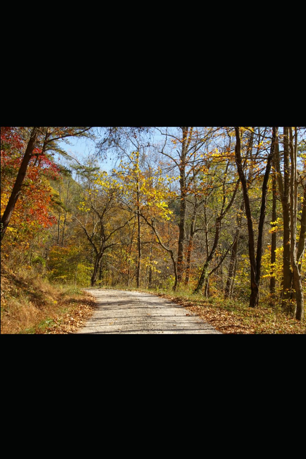 Quiet Strength After Loss: Finding Peace and Clarity After Grief