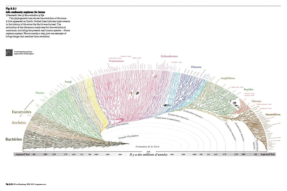 洋書Planetary GardensThe Landscape Archite The Planetary Garden