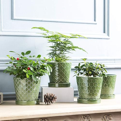 Miniatura 6 de BUYMAX  Juego de 4 maceteros de cerámica de 5pulgadas con orificios de drenaje y bandeja de cerámica, regalo para jardinería, decoración de