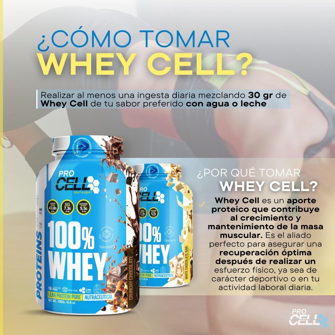 ProCell Proteína Whey 1,8Kg 100% Proteína de Suero Concentrada (Chococao) Con BCAA y Glutamina, Sin Gluten, Sin Lactosa y Bajo en Azúcares (60 Servicios)