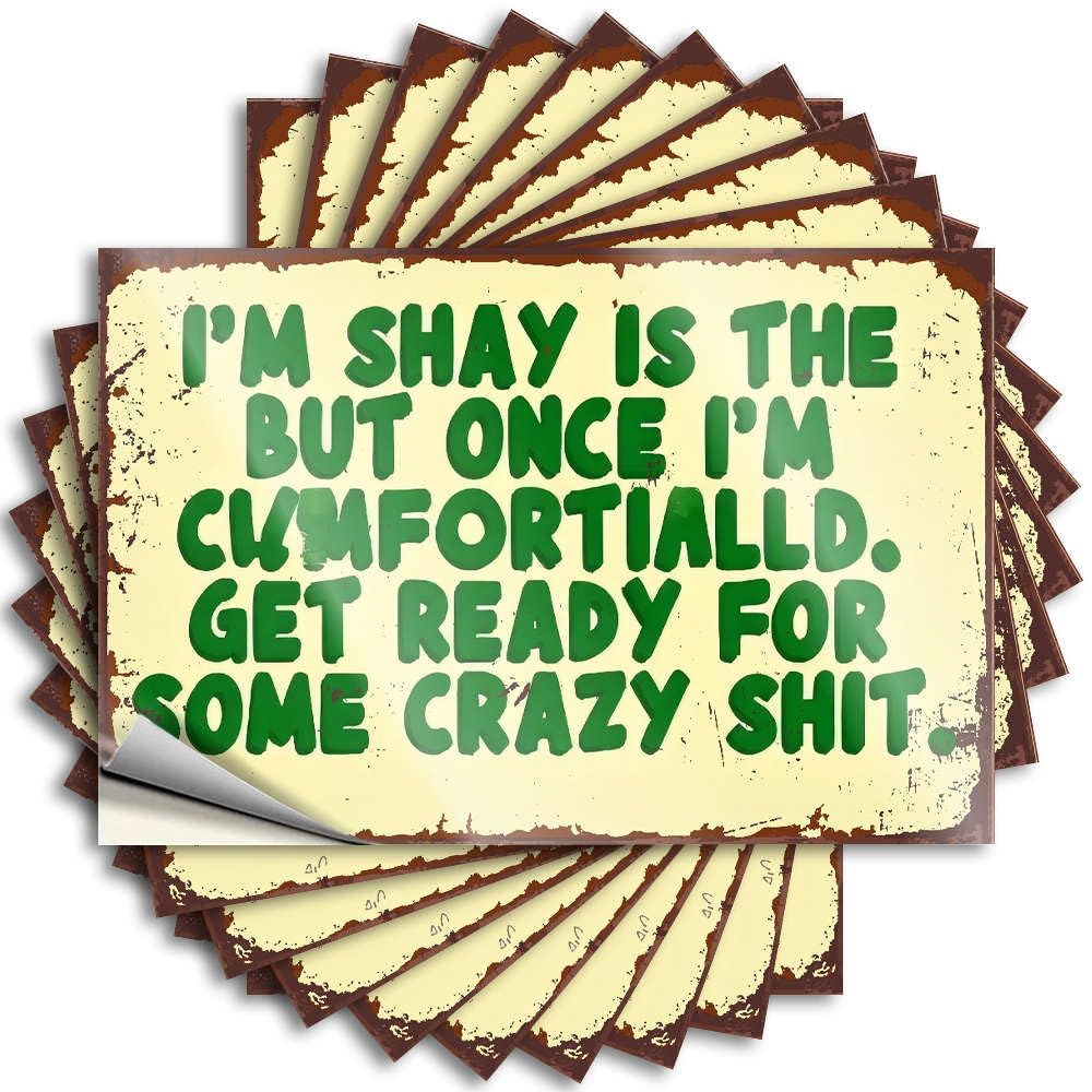 Sticker Gaming Vinyl Sticker | I'm Shy But Get Ready for Crazy Shit. Fire for Billiard Use(12X18CM)