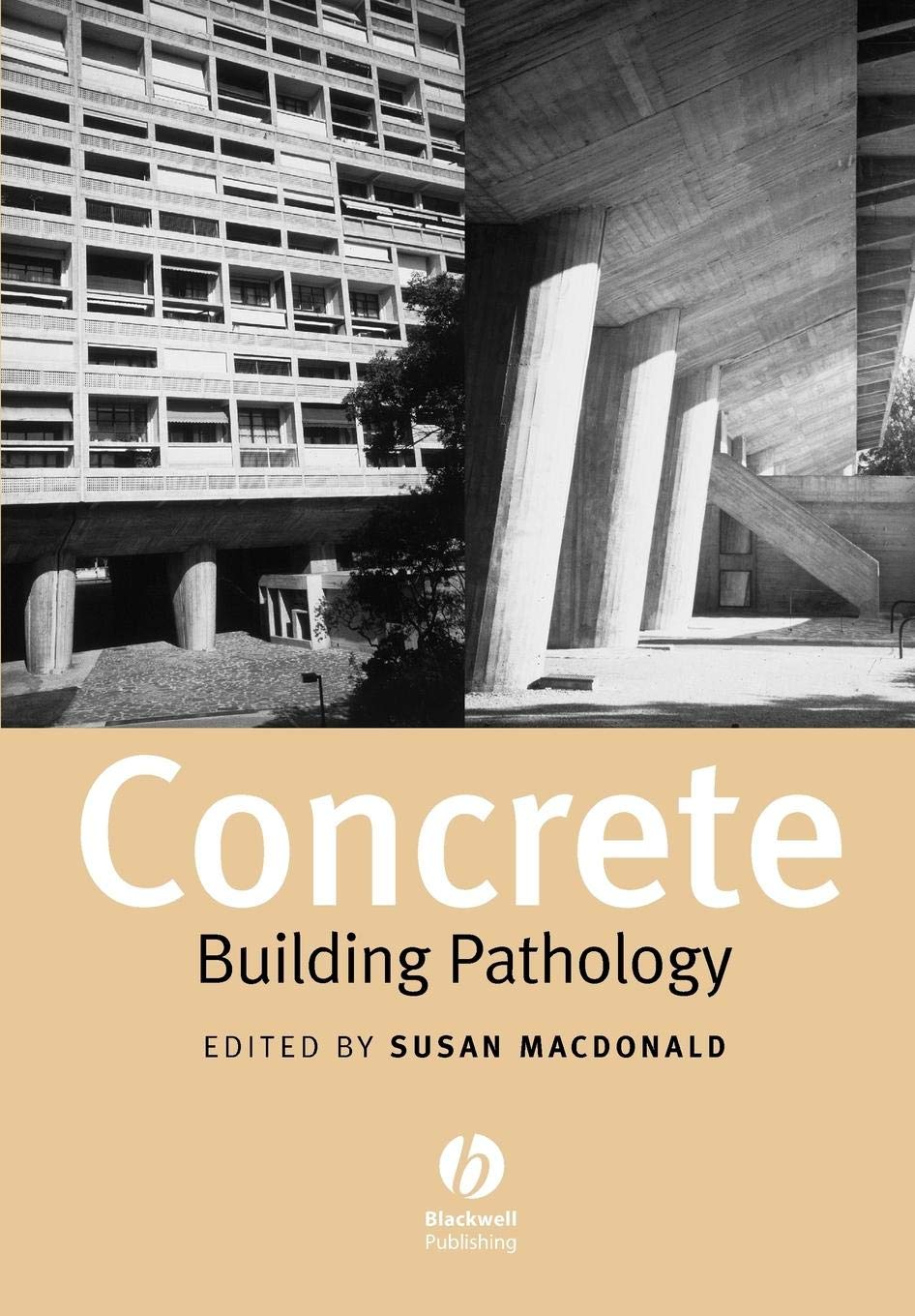 Concrete: Building Pathology view 3