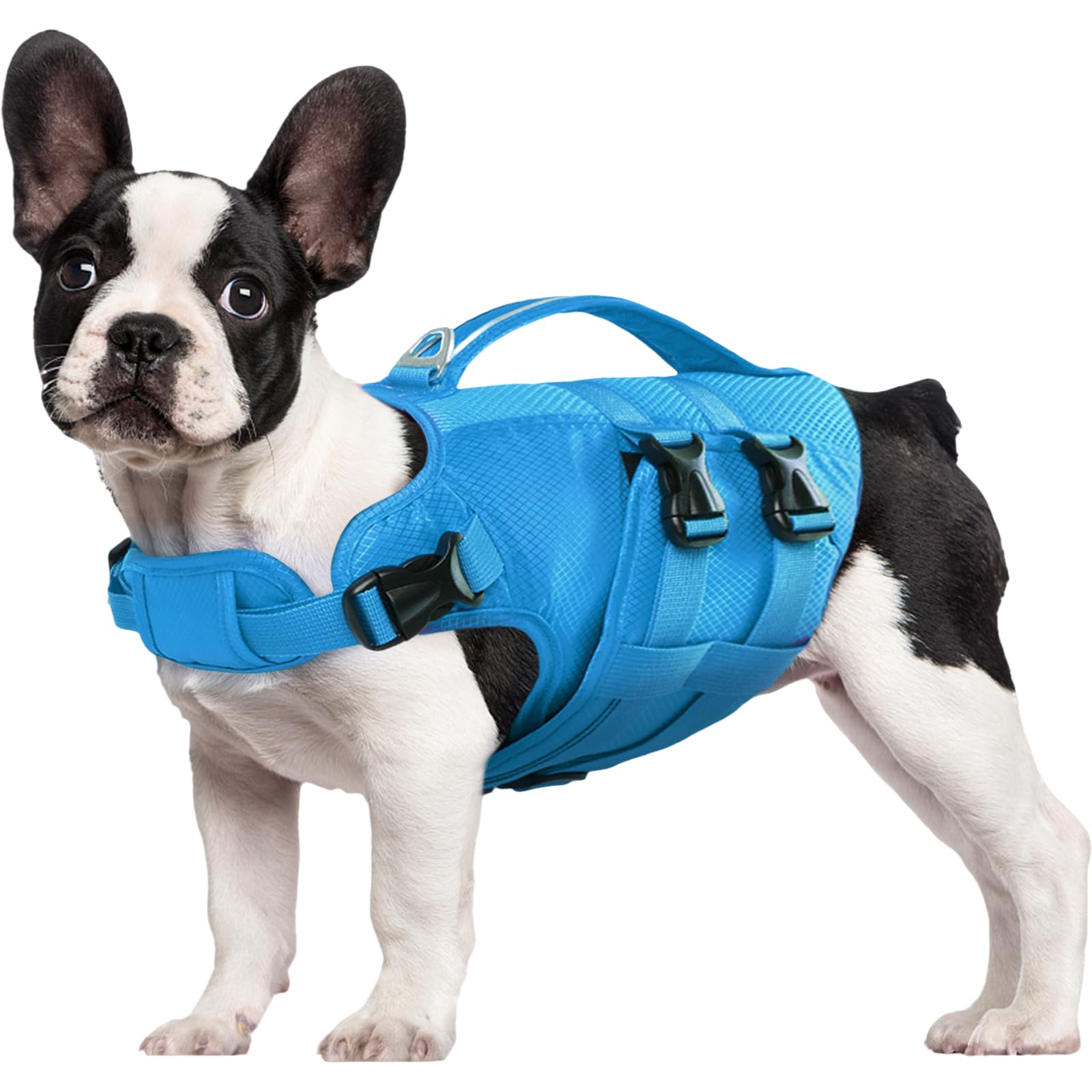 Kuoser Dog Life Jacket XL, High Flotation Dog Water Vest for Swimming Boating, Reflective Doggie Swimming Vest Pet Life Preserver with Rescue Handle, Blue XL XL (Chest Girth:25.9-33.4'') 1#B