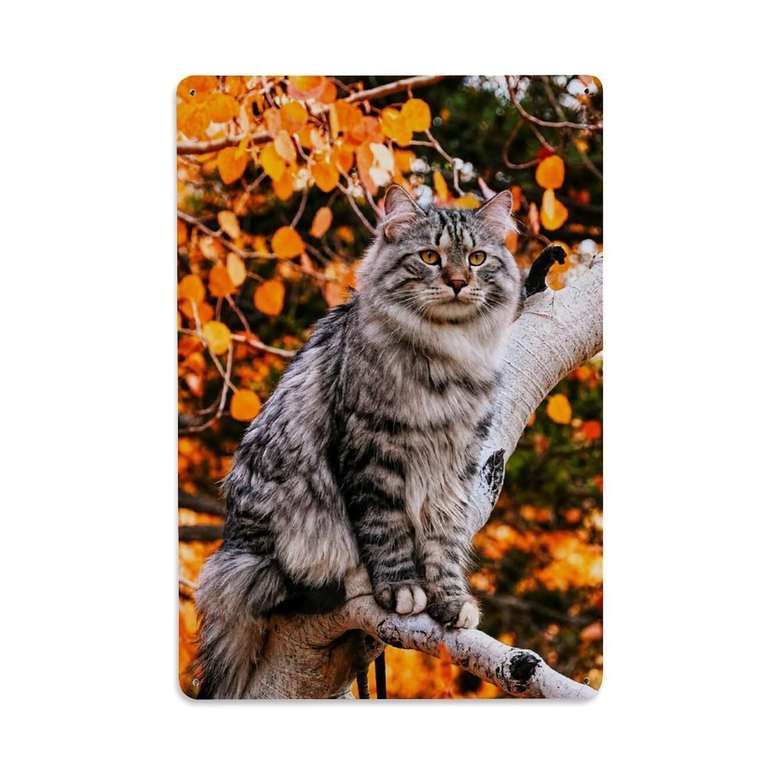 Wildlife Vintage Maine Cat Autumn Forest Nature Floral Science Metal Tin Sign Plaque Wall Decor for Cafe, Man Cave, Club Bar, Office, Home Garden Round Metal Poster 8x12Inch