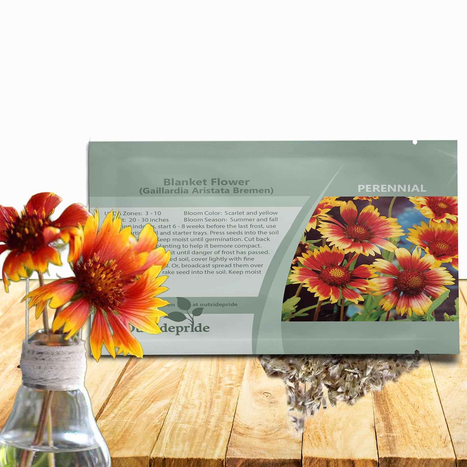 Amazon.com : Outsidepride Gaillardia Aristata Bremen Blanket Flower Seeds  for Planting - 1000 Pcs Perennial Wildflower Seeds, Drought-Tolerant for  Xeriscaping, Borders, Pollinator Gardens, or Wildflower Mixes : Flowering  Plants : Patio, Lawn & Garden