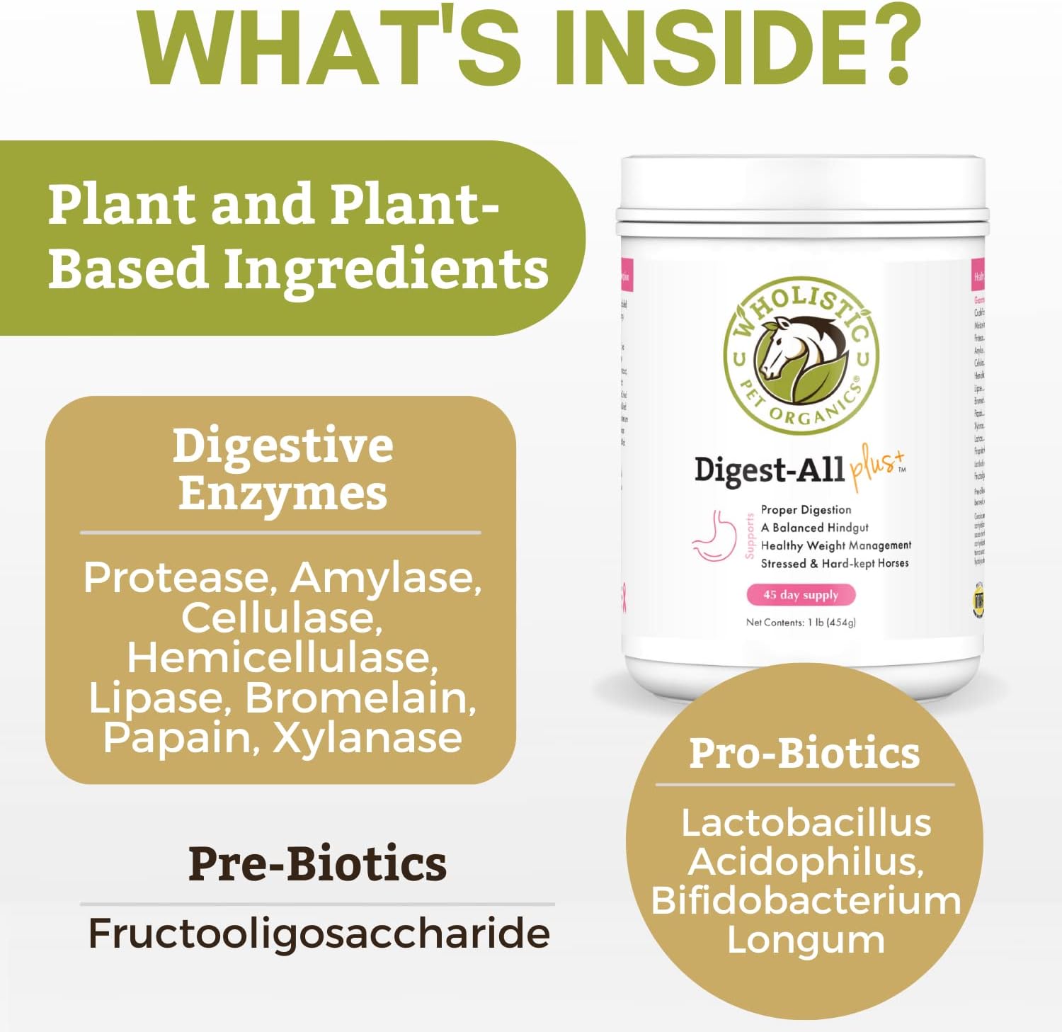 Wholistic Pet Organics Digest-All Plus: Horse Probiotics Powder - Equine Probiotics and Prebiotics with Digestive Enzymes - Equine Digestive Supplements for Gas, Constipation and Gut Health - 1 Lb : Pet Supplies