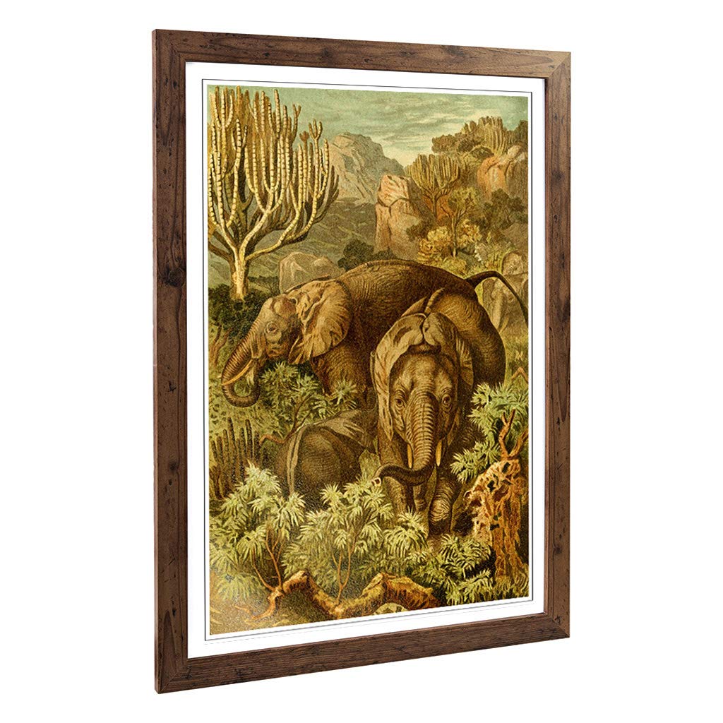 Big Box Art Framed Print of Vintage Brehms Tierlben African Elephant Design | Wall Art Picture | Home Decor for Kitchen, Living Room, Bedroom, Hallway, Walnut, A2 / 24.5x18 Inch / 62x45cm