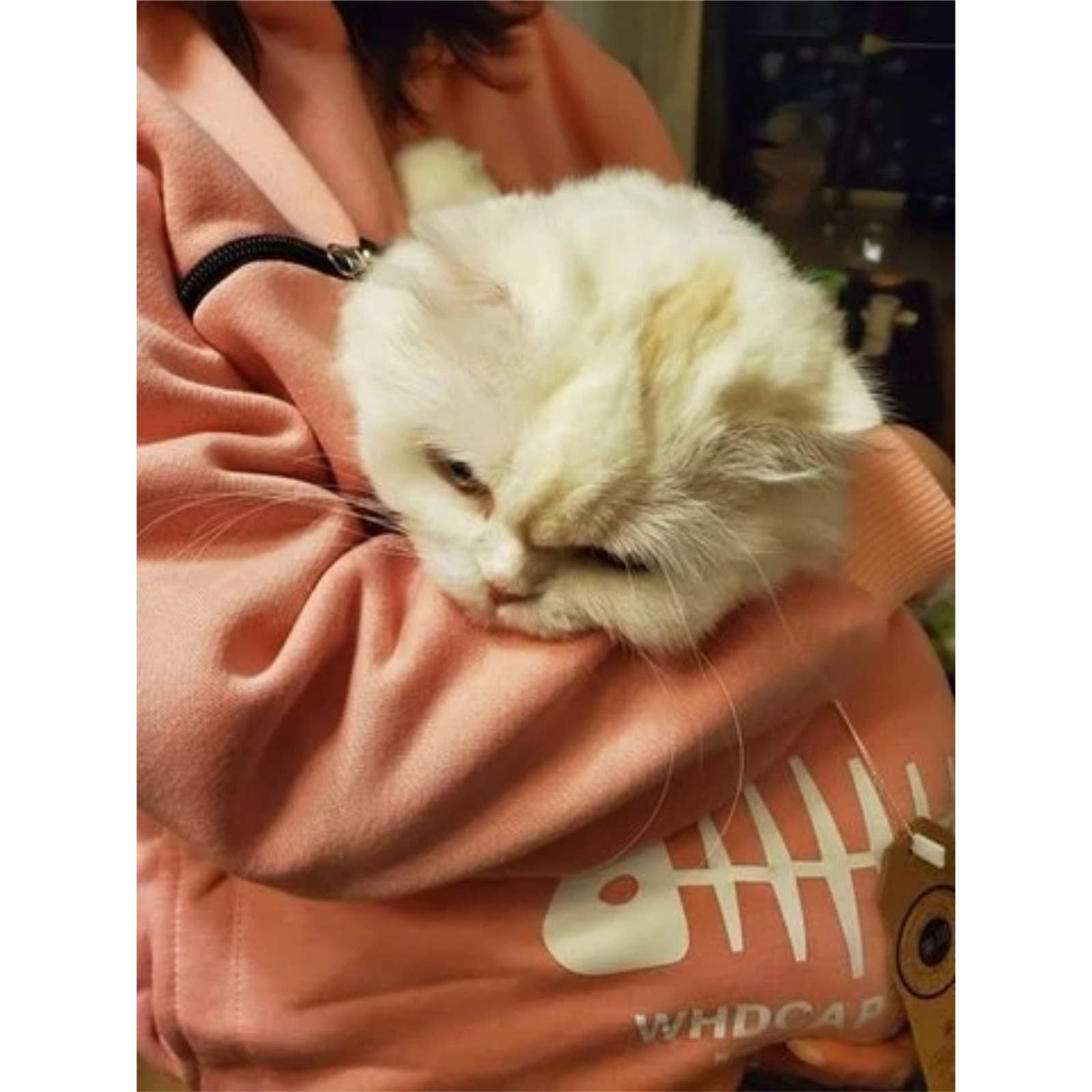 Fluffsy Cat and Dog Pouch Hoodle,Cat Dog Kangaroo Pouch Holder Sweatshirt,Casual Sweatshirt Unisex