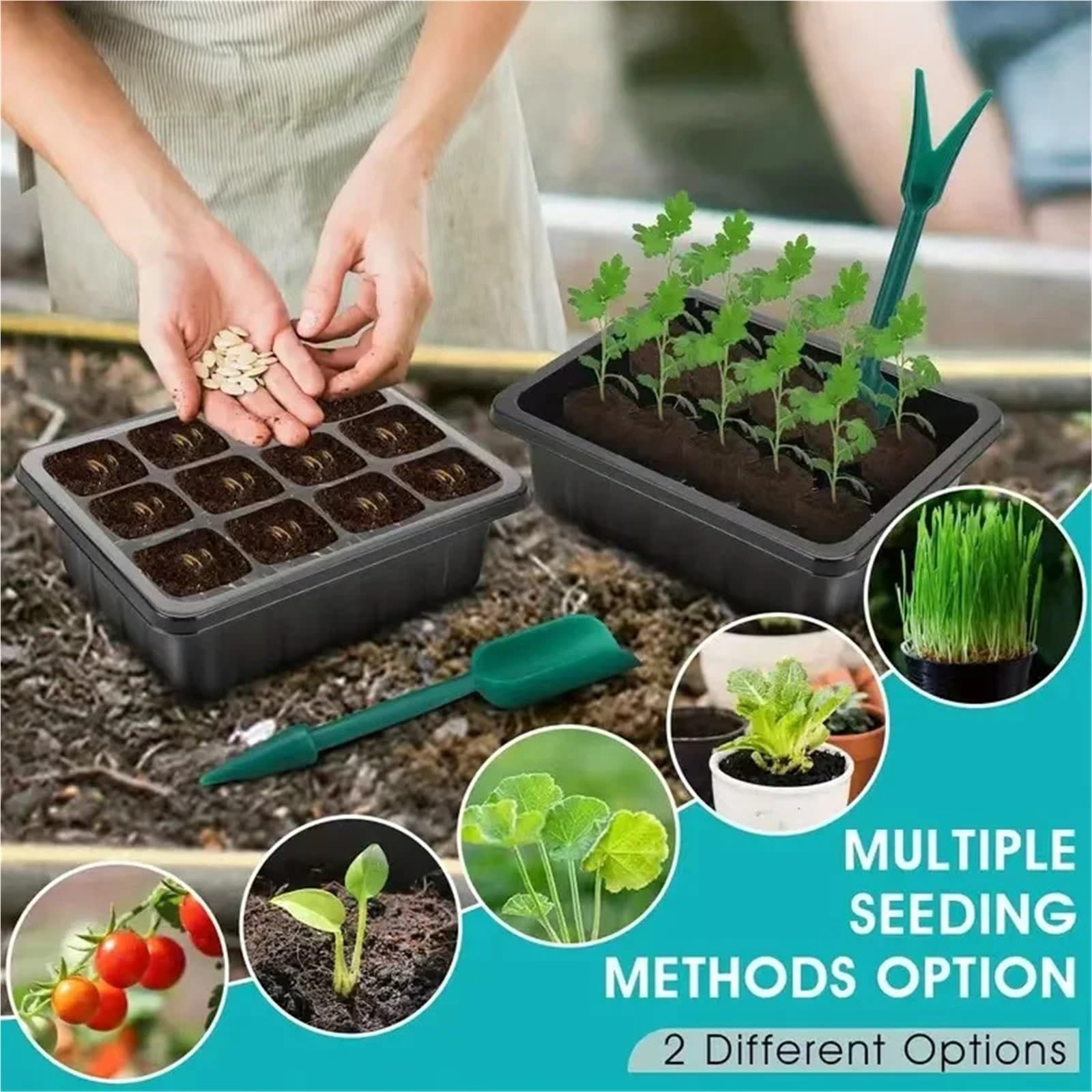 Semillero Bandeja de Inicio Semillas con Luces Cultivo, 2 Kits germinación Mini Invernadero cúpula Humedad Ajustable para Plantas