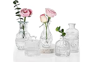 Fixwal Mini Glass Vases for Floral Accents and Wedding Decor