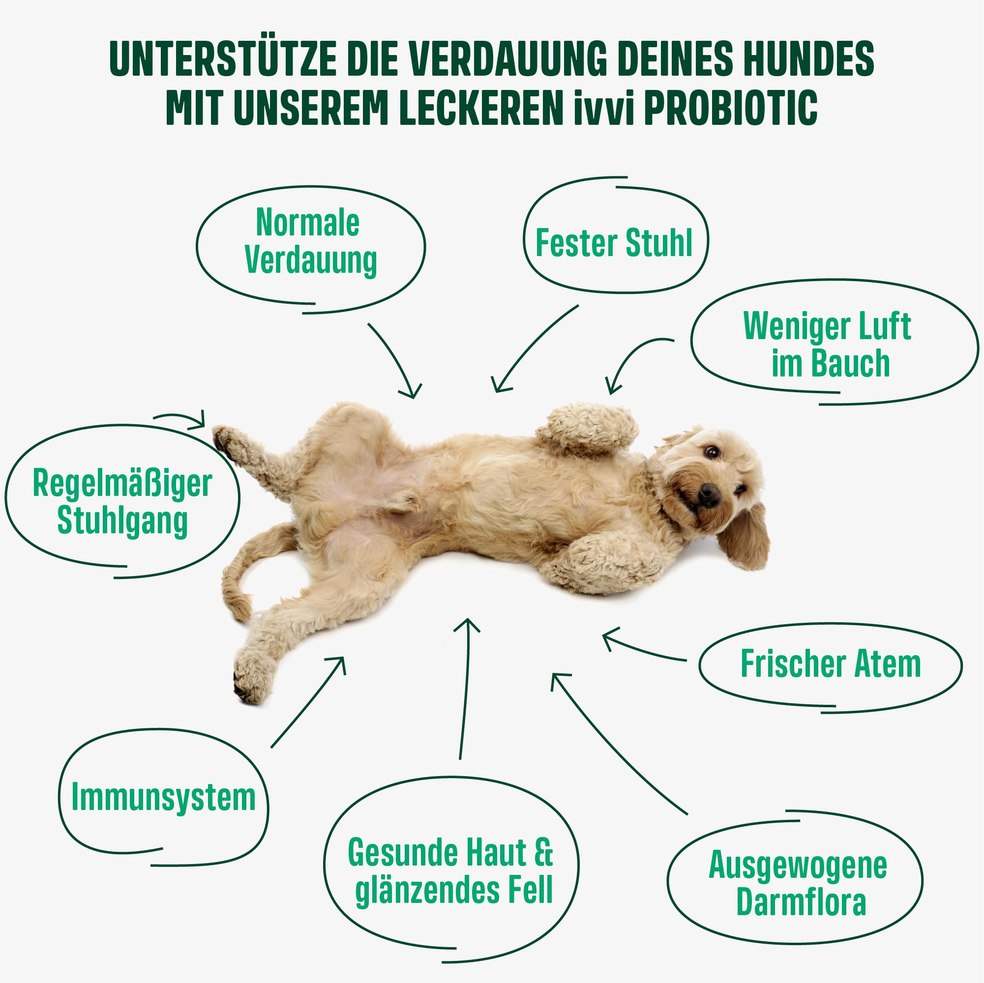 ivvi PROBIOTIC Hunde Probiotika als Leckerli - Hund Darmflora aufbauen, verbesserte Verdauung & Immunsystem - 60 leckere Snacks (270g) mit Huhn