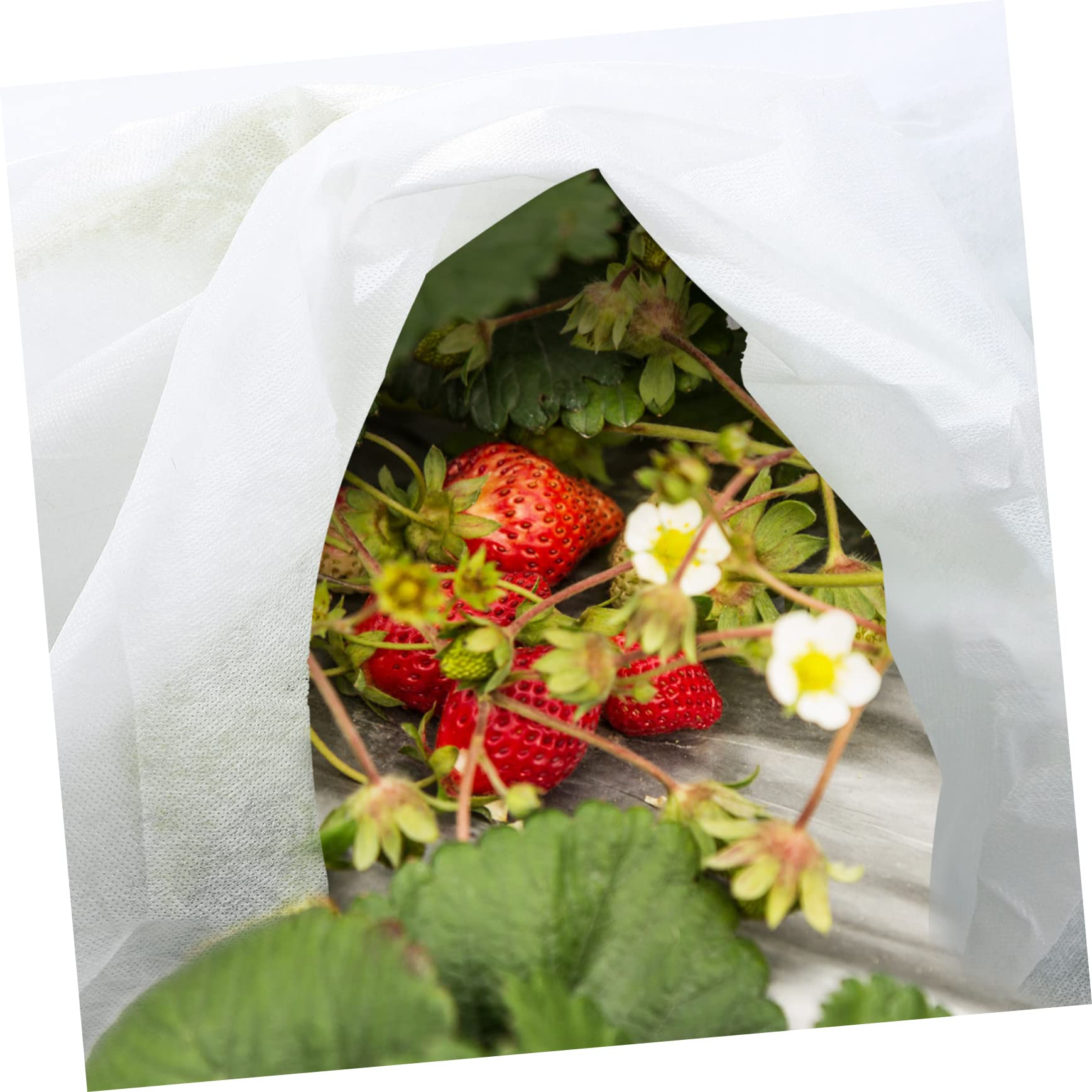 2pièces Voile Hivernage pour Plantes Couverture Non Tissée Antigel pour Hiver Protection Légère Et Réutilisable