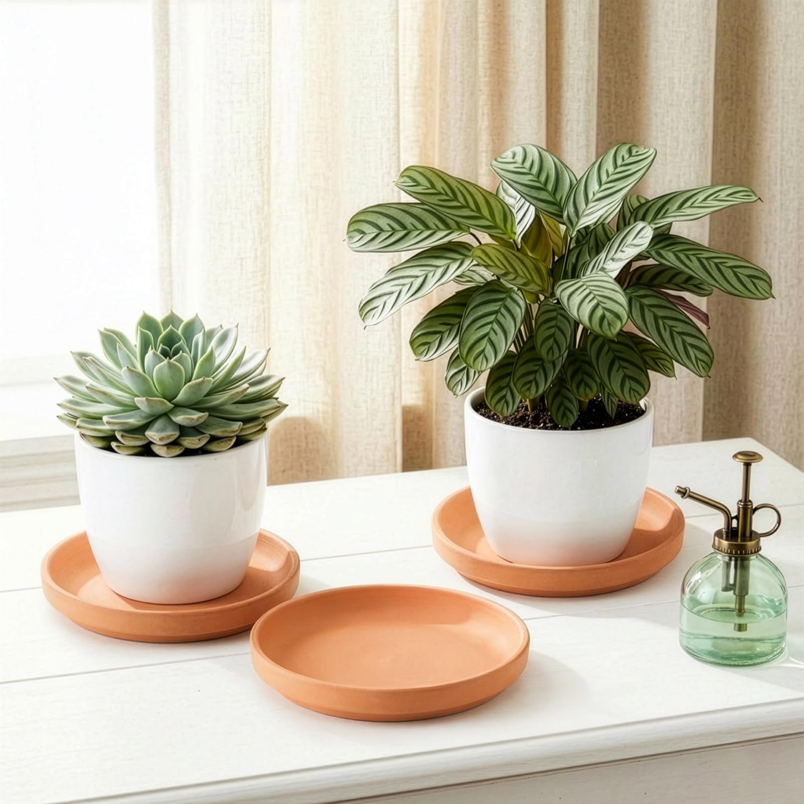 Terracotta Plant Saucers - 4 Pack, 9 Inch -7