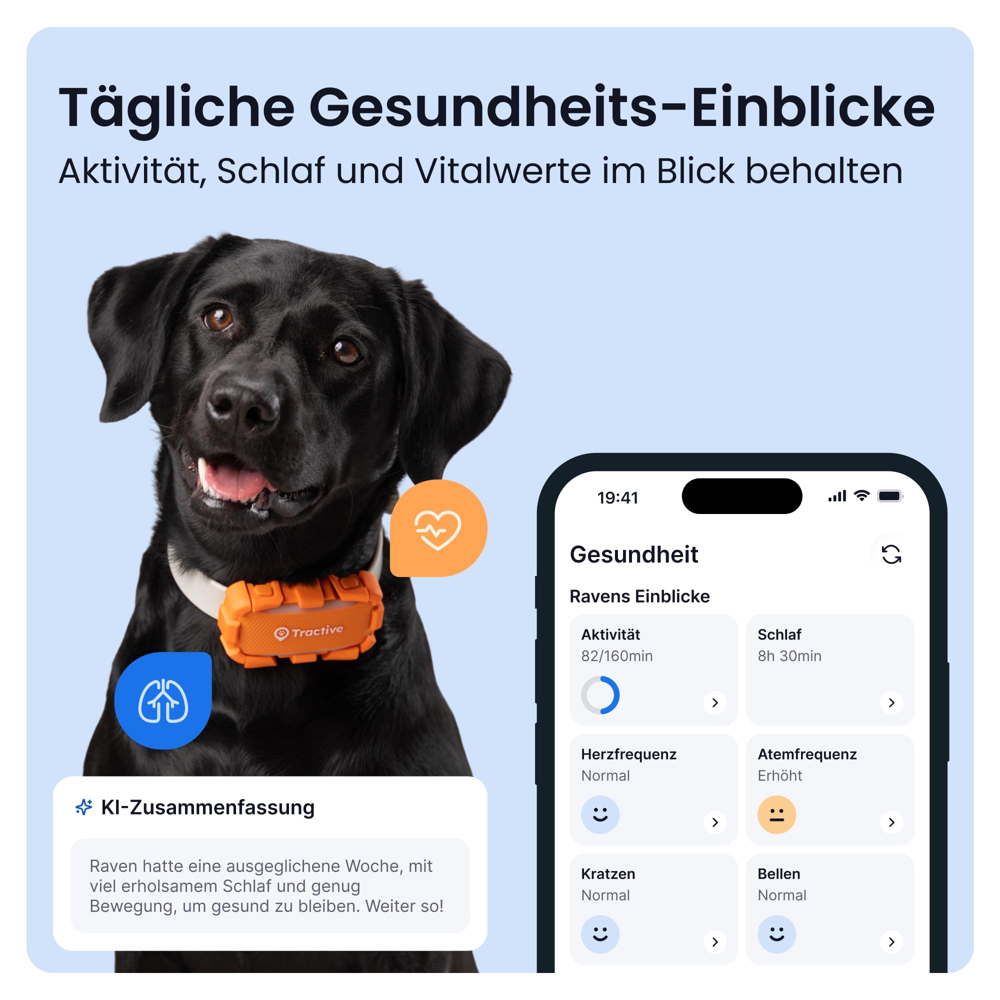 Tractive XL Adventure Smarter Hunde GPS Tracker | Modell 2026 | Großer Akku | Live-GPS-Ortung | Weglaufalarm & Gesundheitswarnungen | Überwachung der Vitalwerte | Empfohlen von Martin Rütter (Orange)