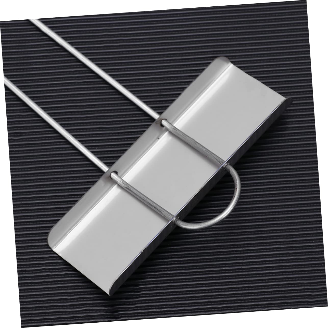 Toddmomy 30pezzi Etichette Acciaio Inossidabilper Giardinaggio Tag Resistente Per Piante Etichette Metallichper Bonsai e Argento