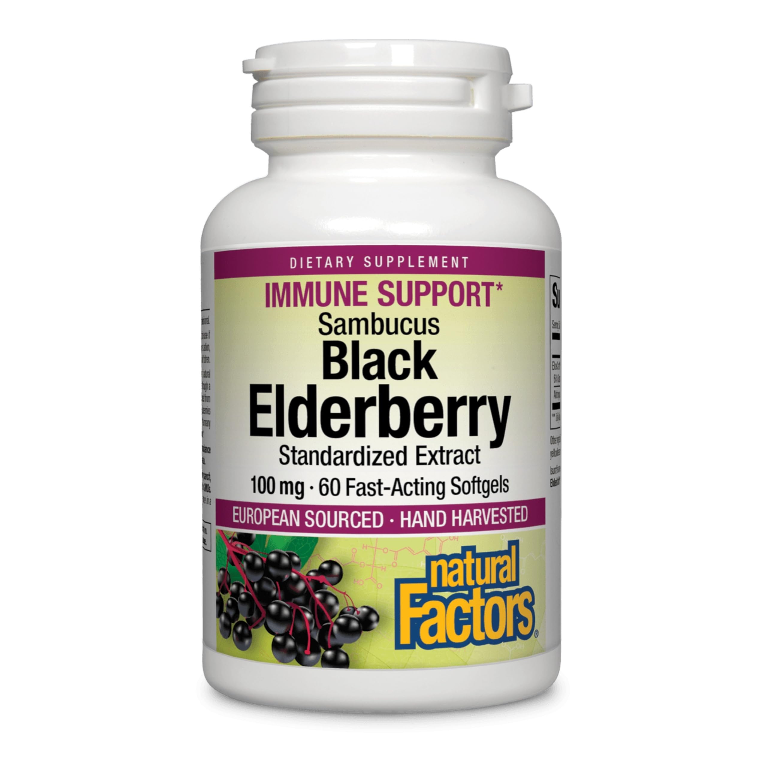Natural Factors Sambucus Black Elderberry Extract 100 mg, 60 Softgels 60 Count (Pack of 1)