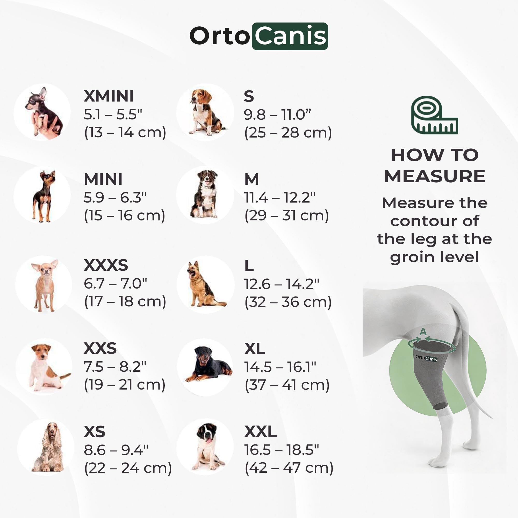 Ortocanis - Immobilizer kolana dla psa - Nakolanniki dla prawej łapy - Zerwanie więzadeł, zwichnięcie rzepki, regeneracja pooperacyjna - Specjalny neopren - Rozmiar: XXS 20-22 cm